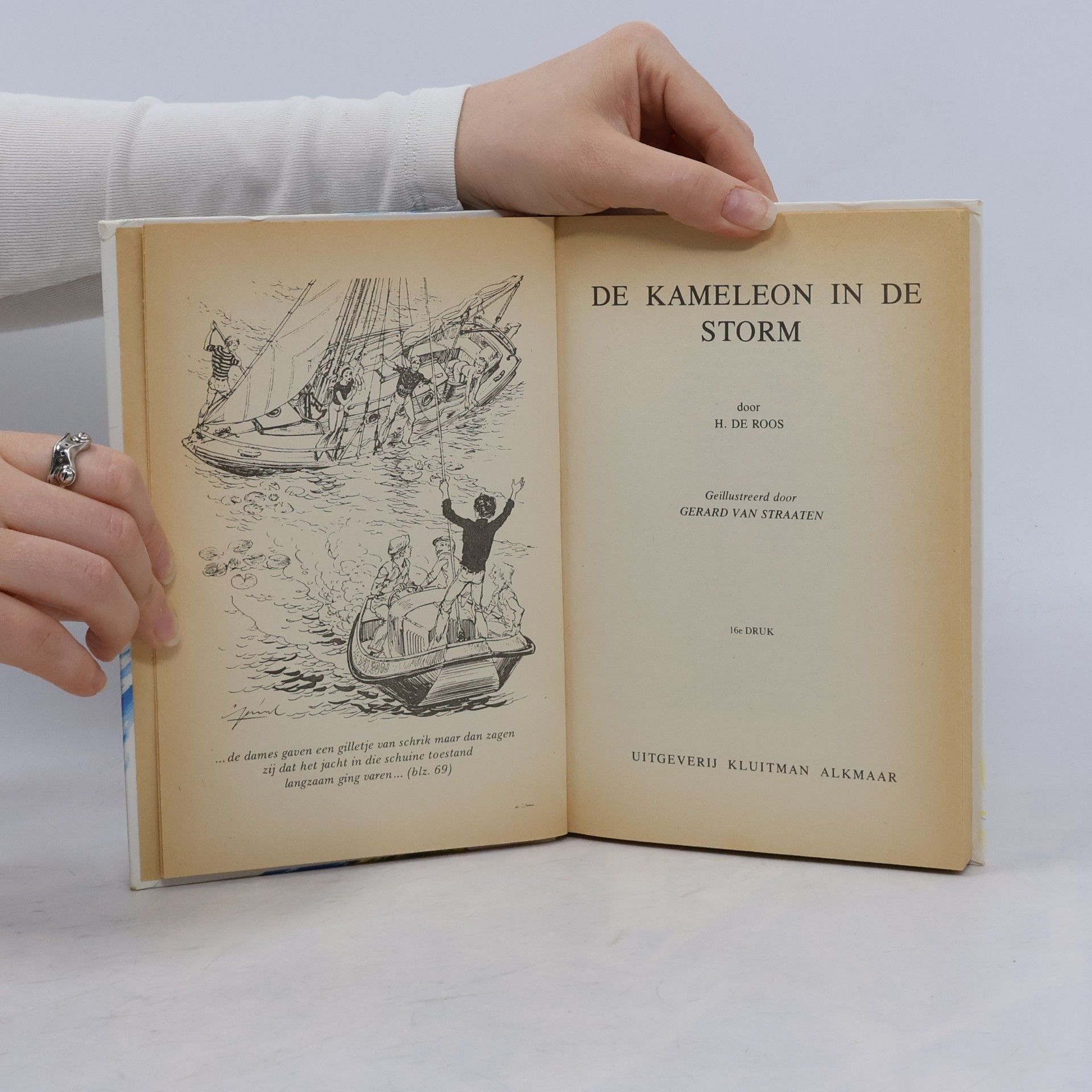 H. de Roos De Kameleon in de storm