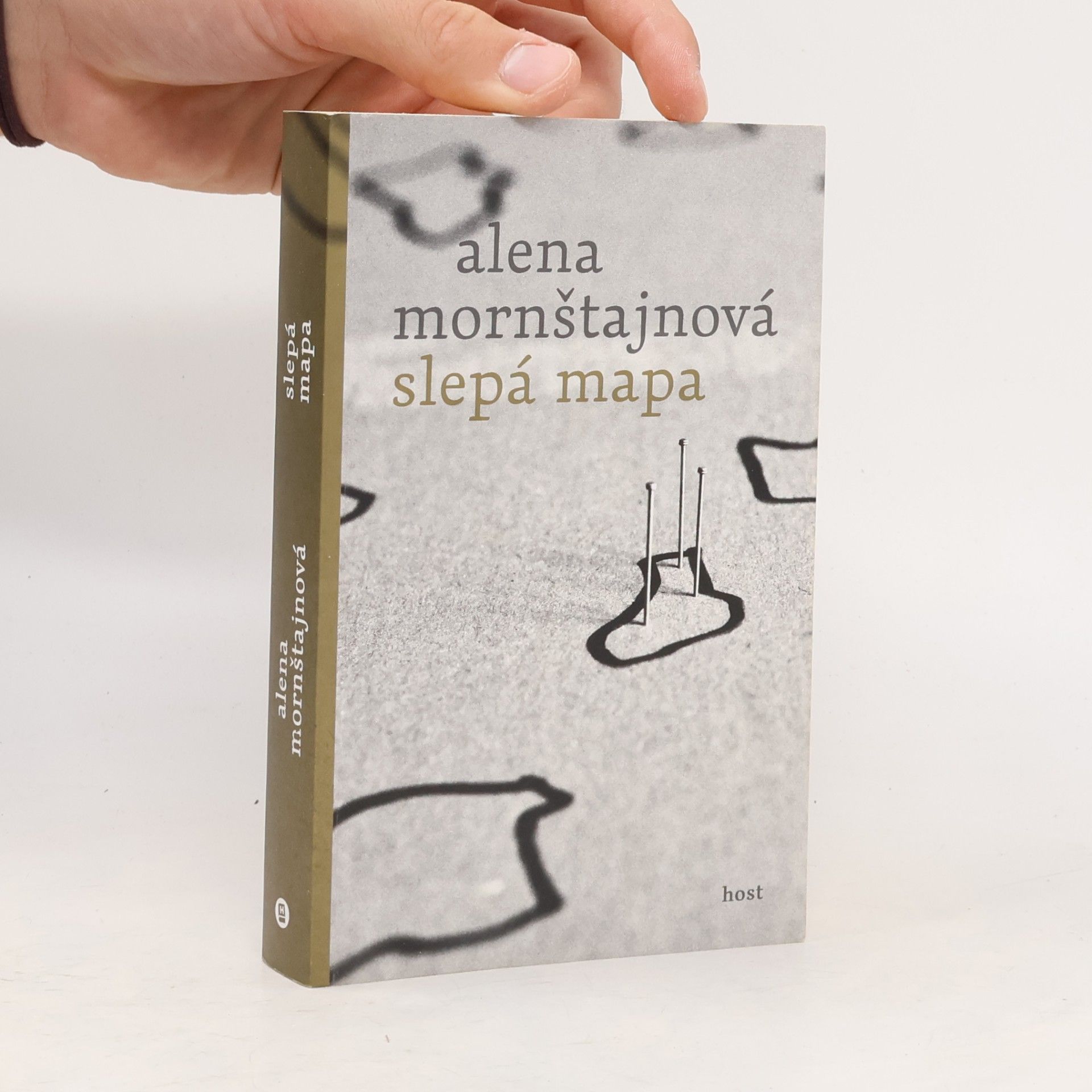 Alena Mornštajnová Slepá mapa