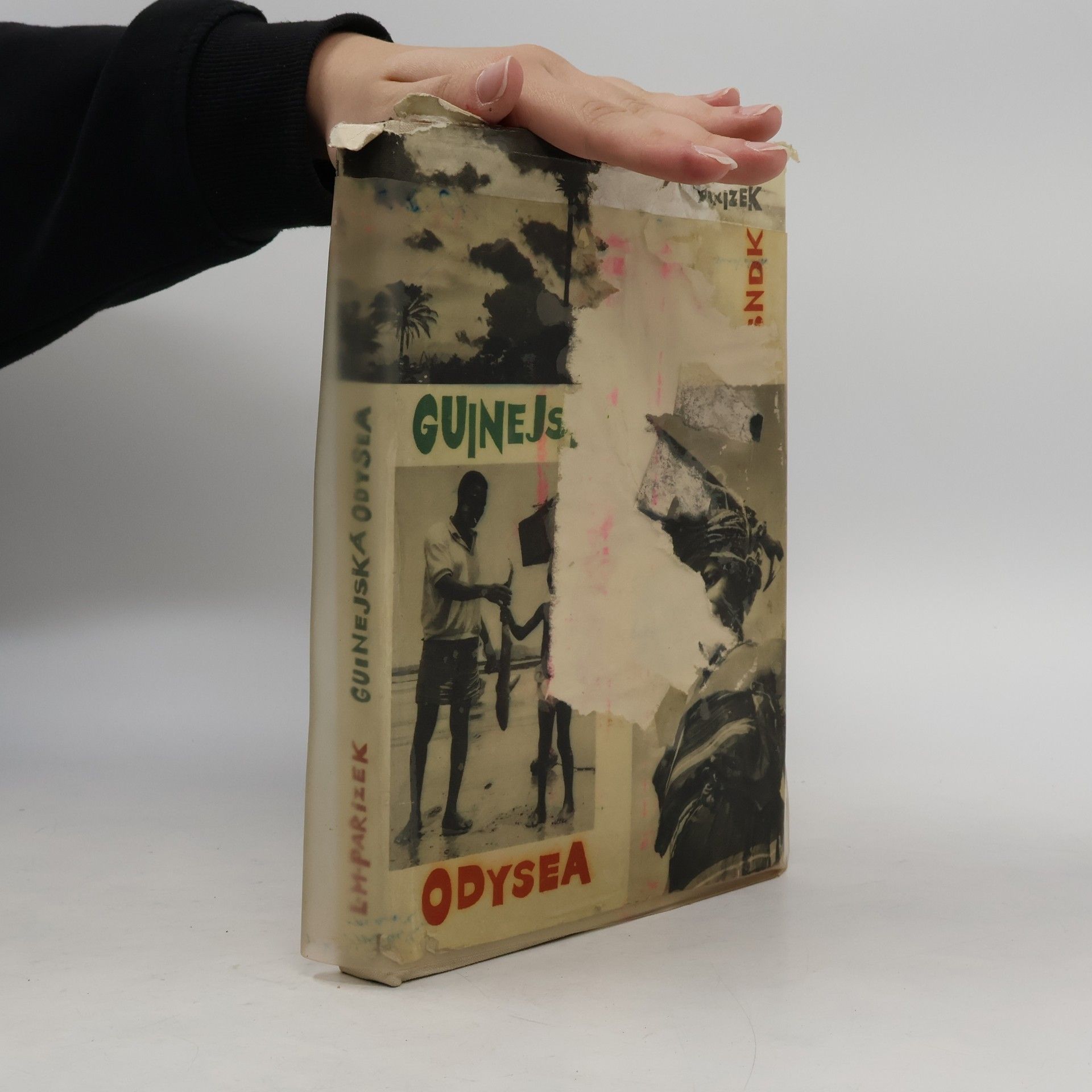 Ladislav Mikeš Pařízek Guinejská odysea