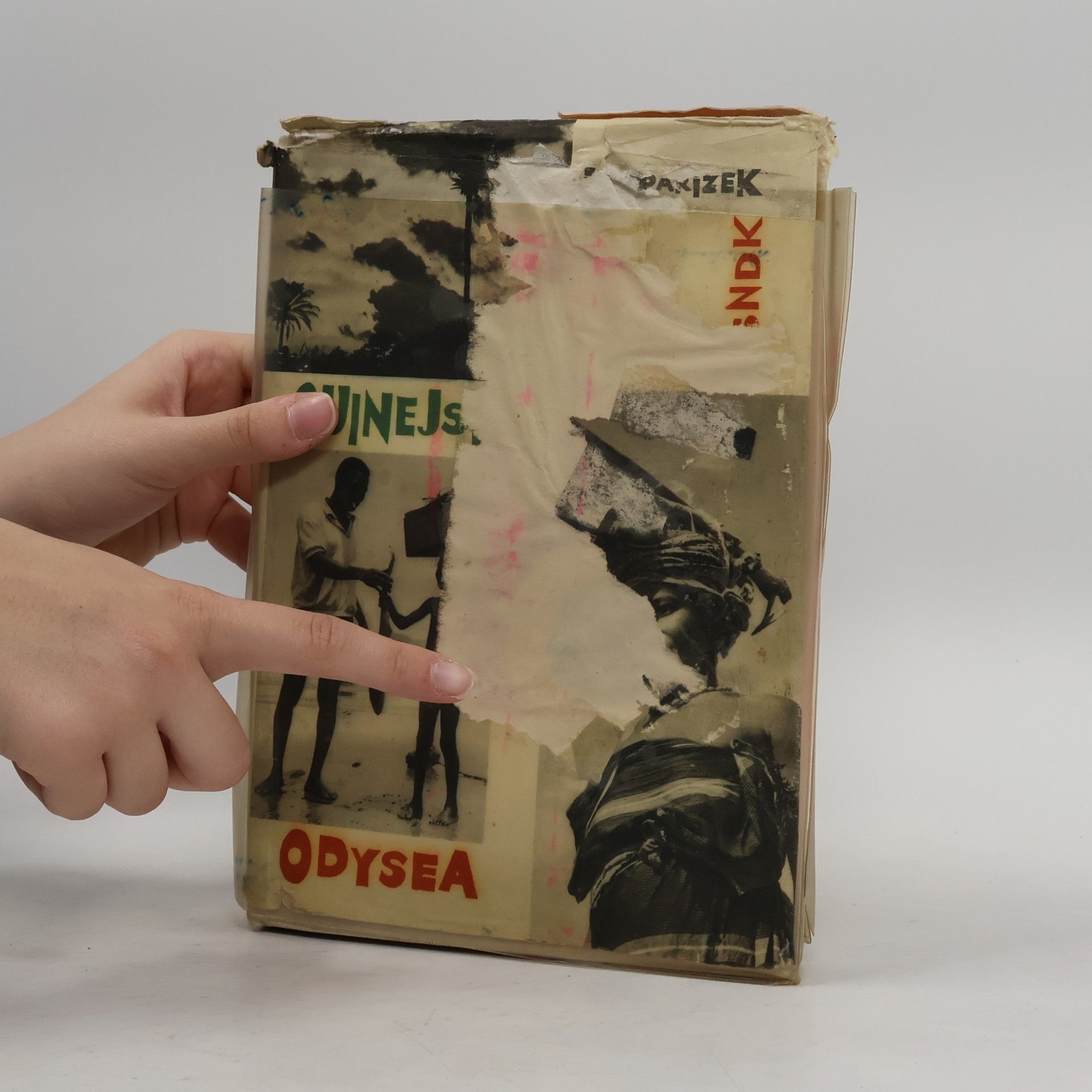Ladislav Mikeš Pařízek Guinejská odysea