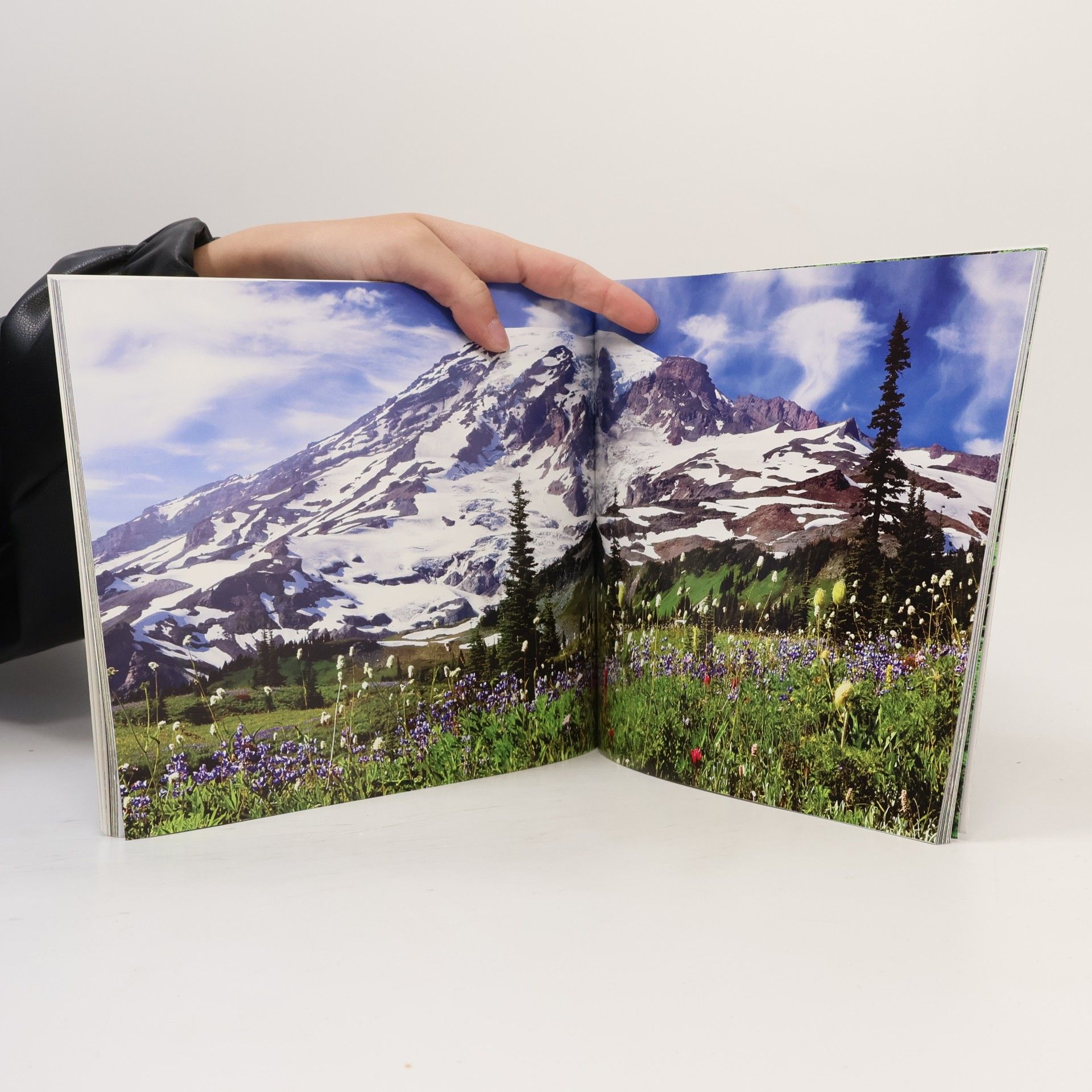 Tom Kirkendall Washington: A photographic journey