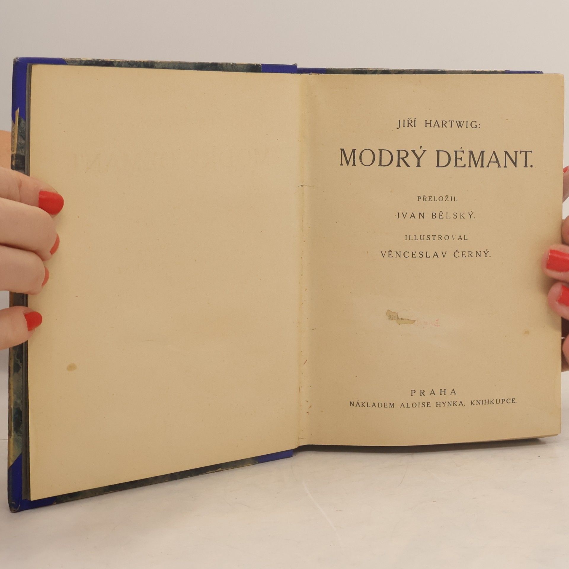 Jiří Hartwig Modrý démant