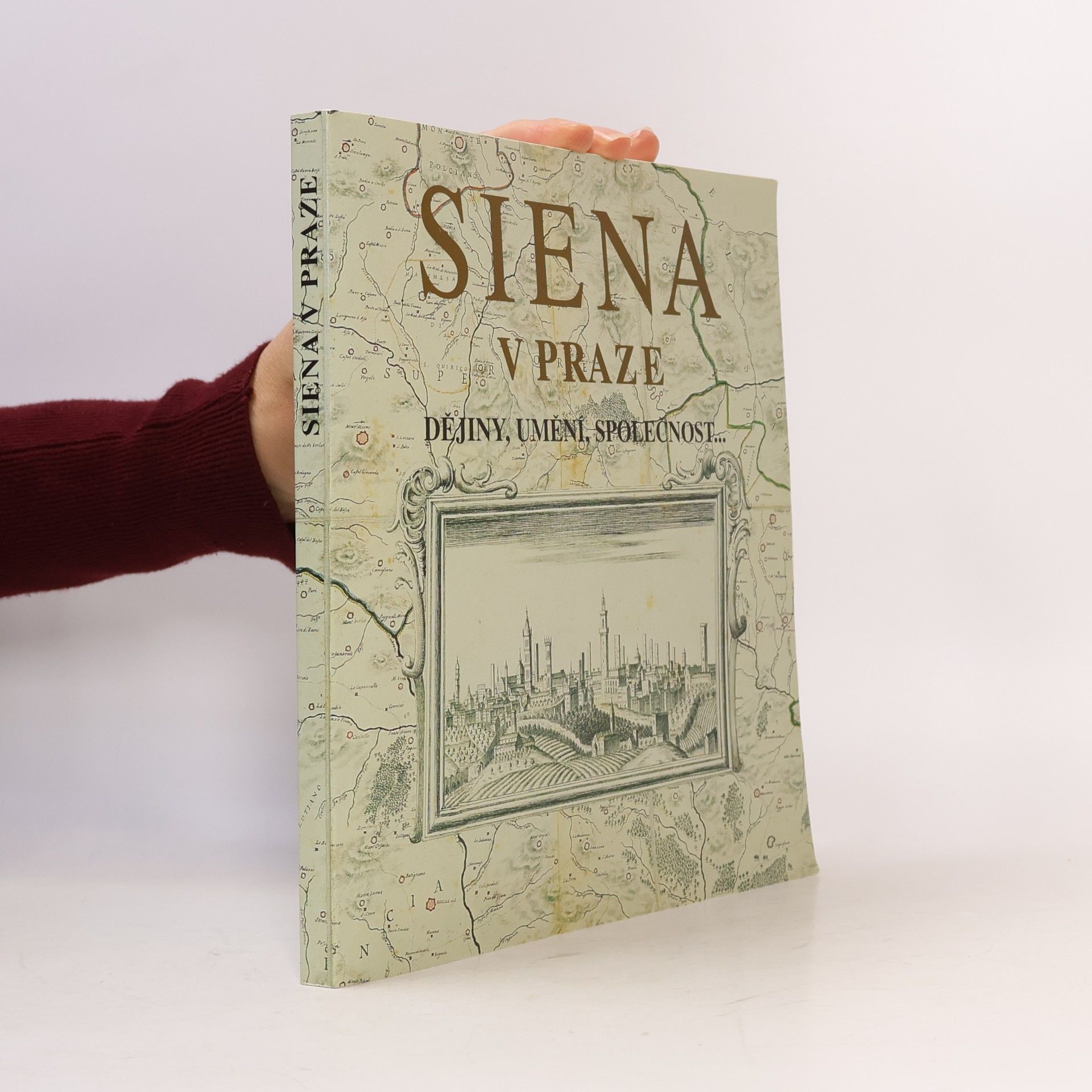 Autorenkollektiv Siena v Praze : dějiny, umění, společnost