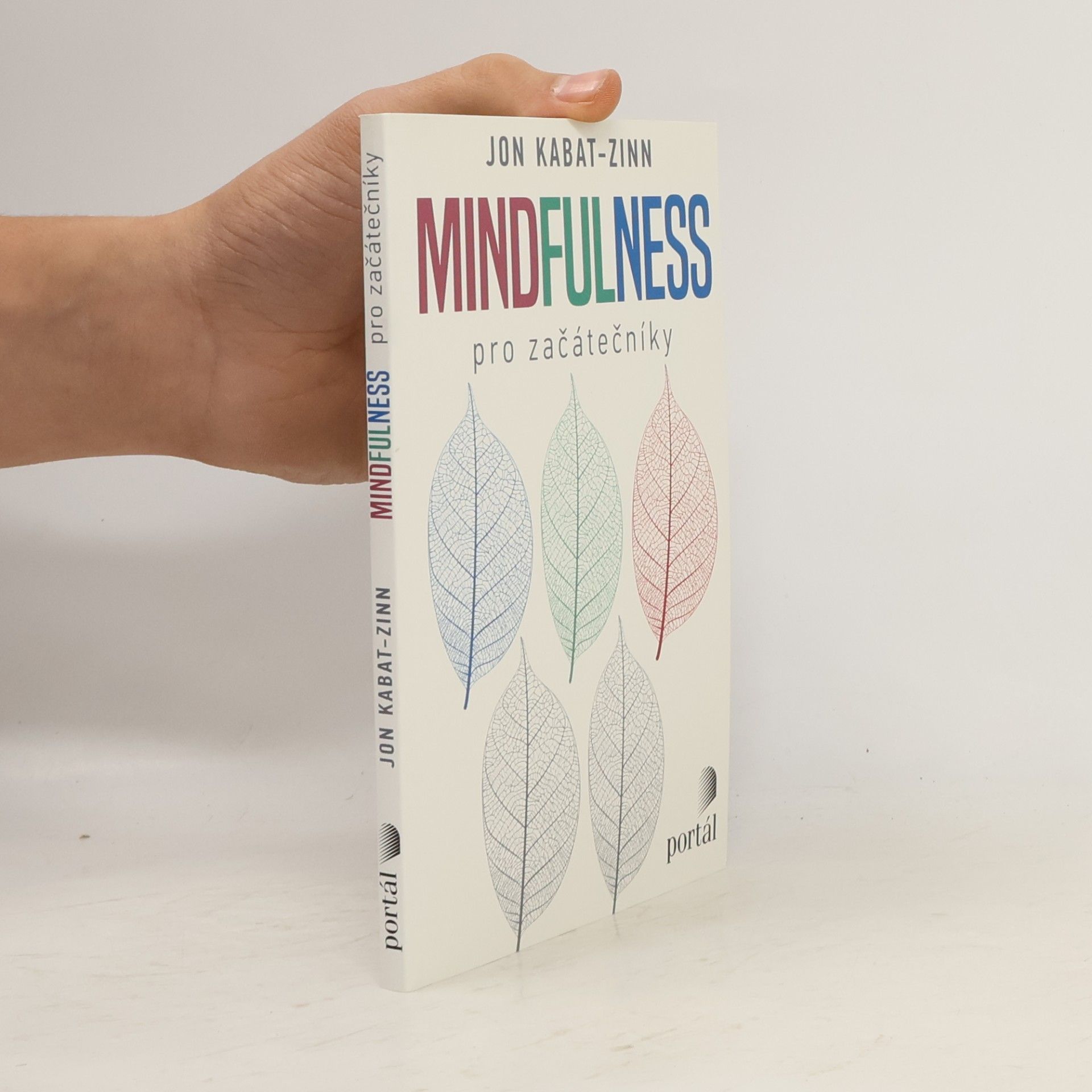 Ondřej Fafejta Mindfulness pro začátečníky