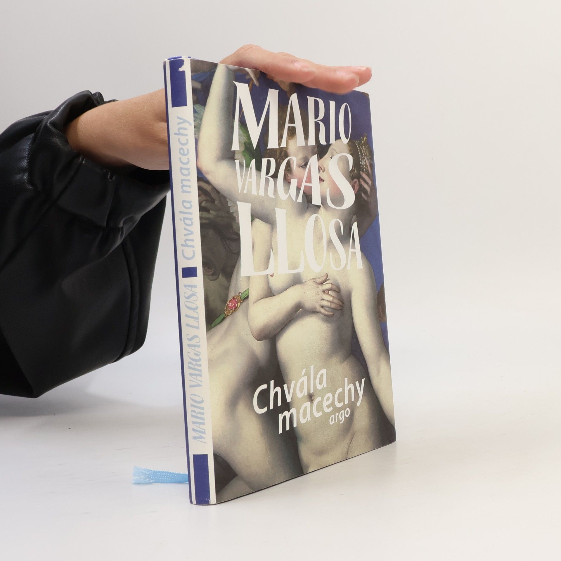 Mario Vargas Llosa Chvála macechy