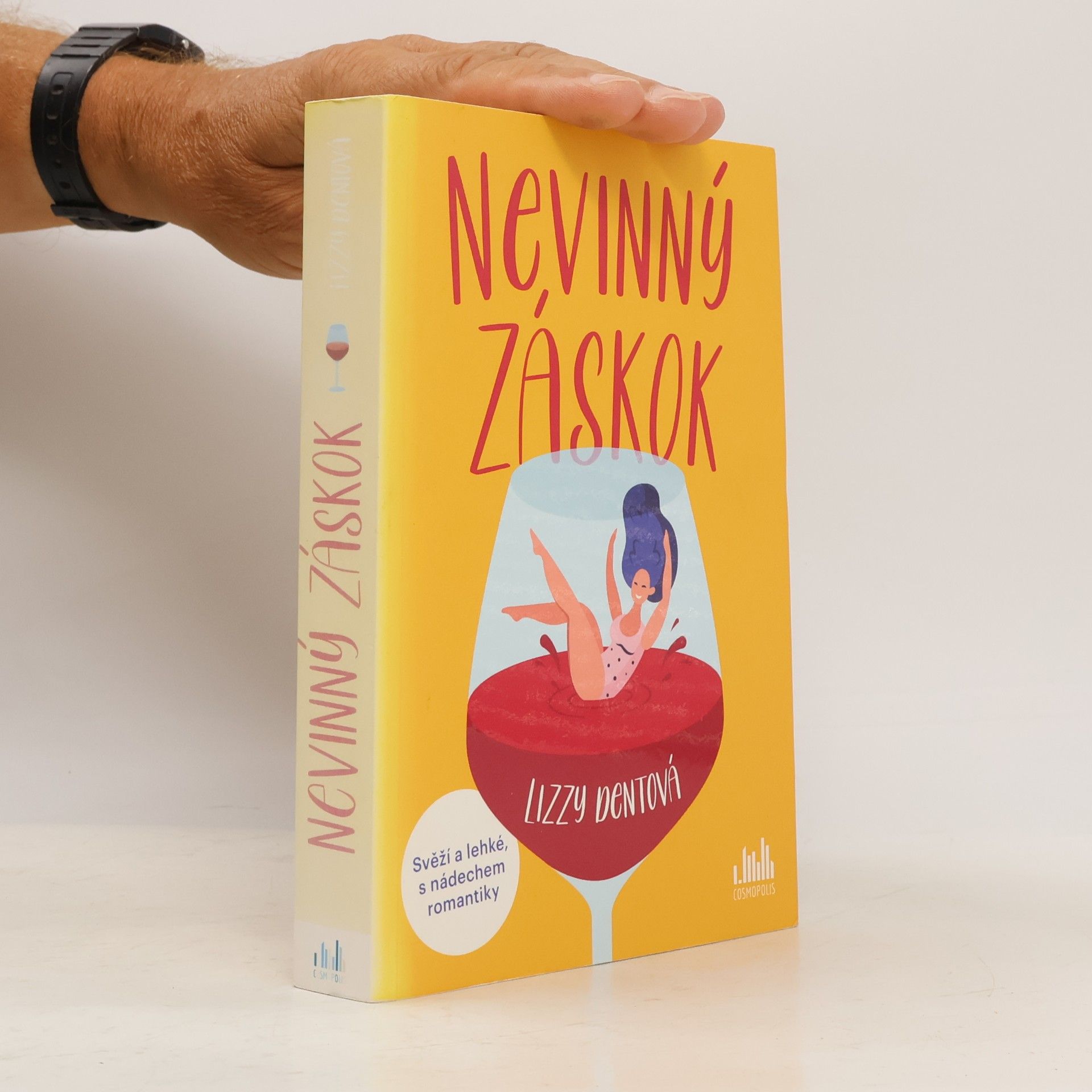 Lizzy Dent Nevinný záskok