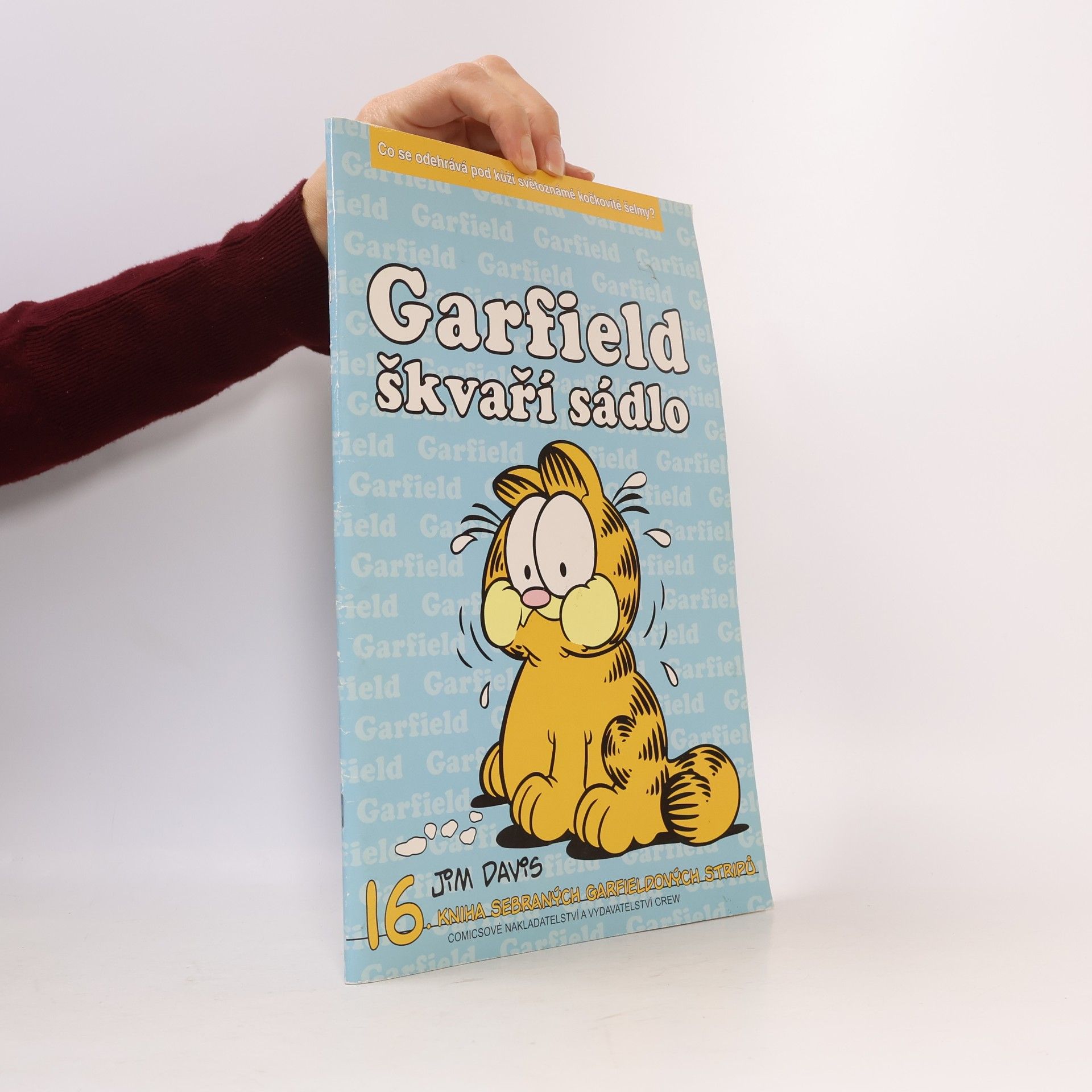 Jim Davis Garfield škvaří sádlo