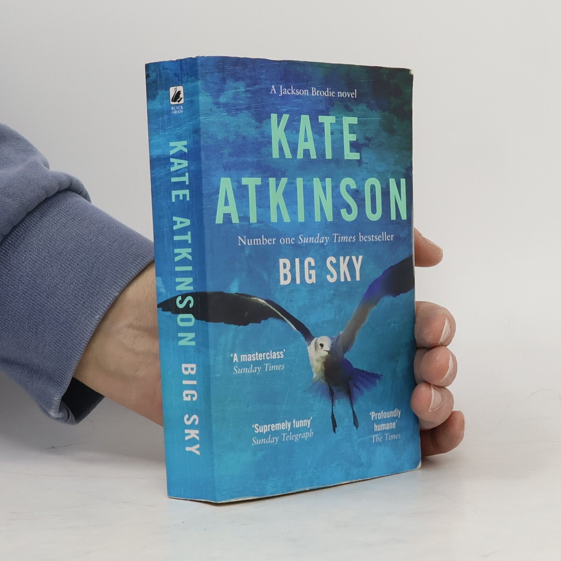 Kate Atkinson Big sky