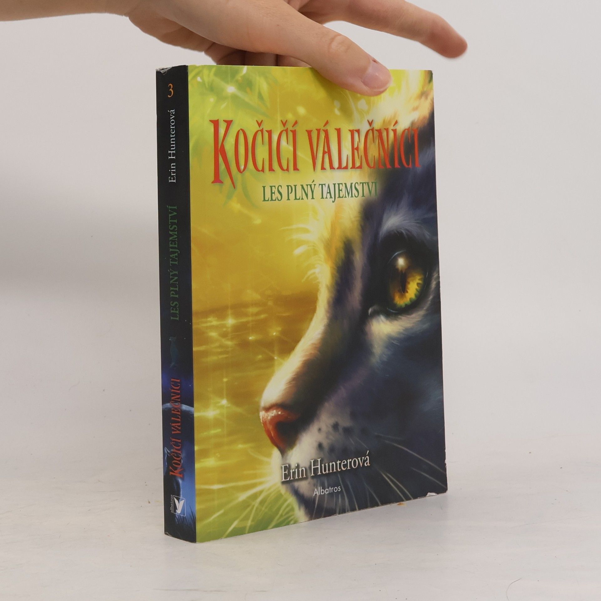 Kočičí válečníci