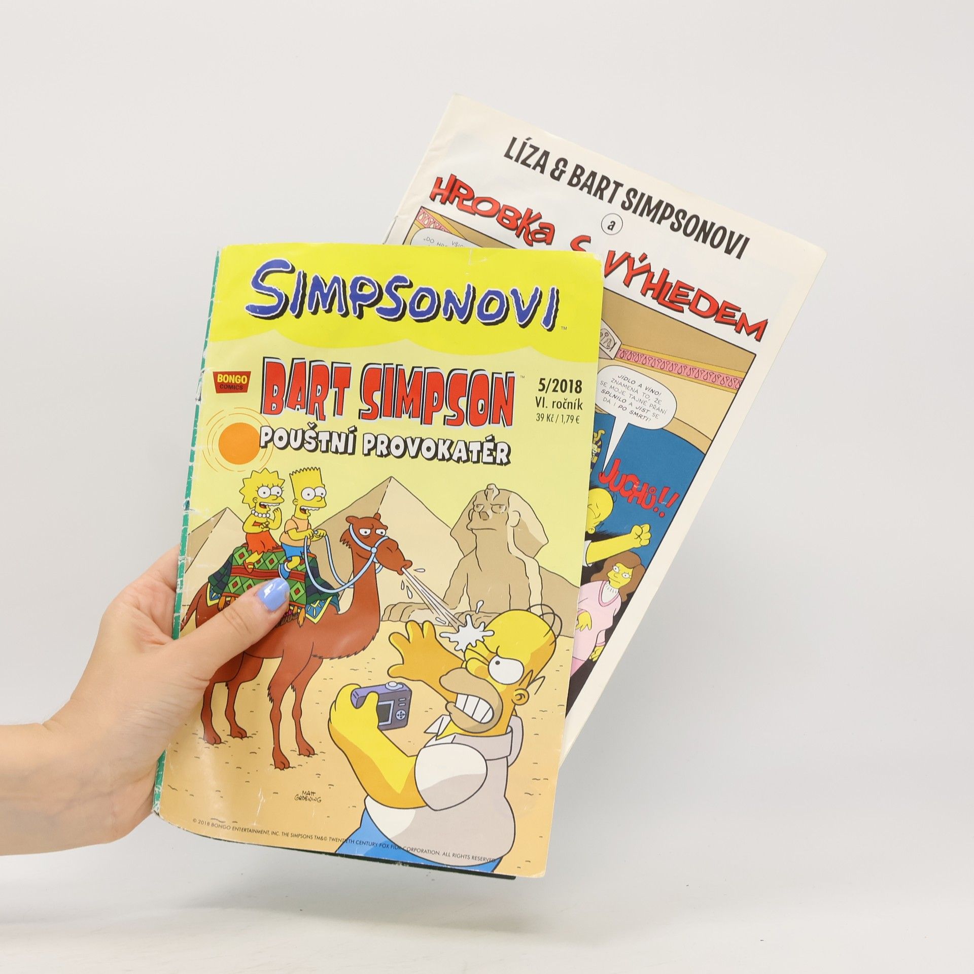 Mat Groening Simpsonovi - 6: Bart Simpson Pouštní provokatér 5/2018
