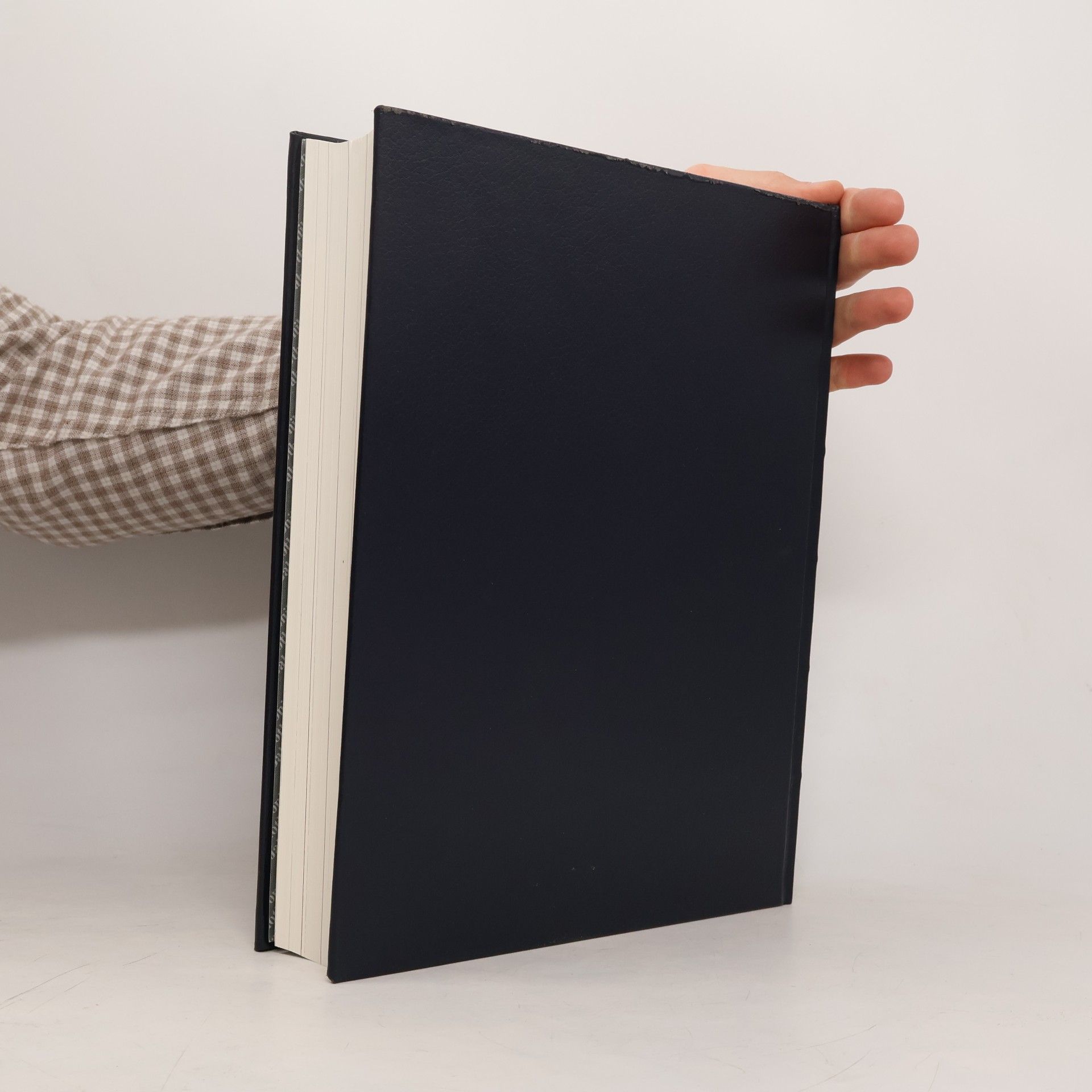 Hanna Vollmer Heitmann Chronik-Bibliothek des 20. Jahrhunderts 7