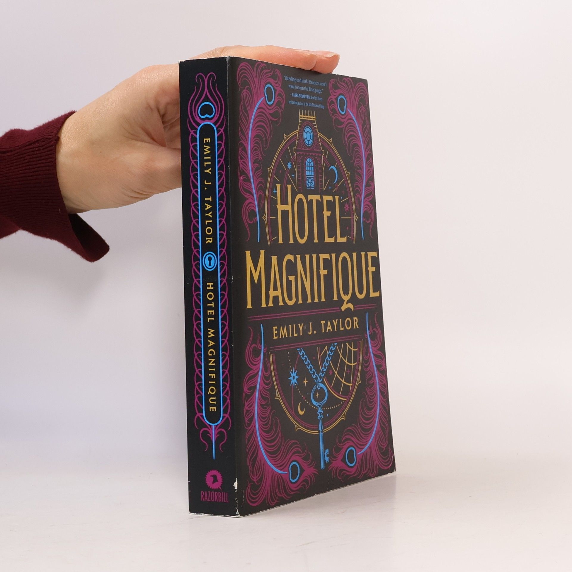 Hotel Magnifique