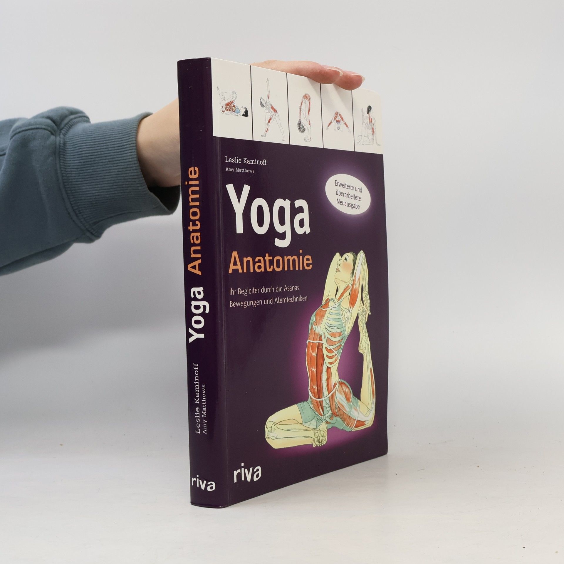 Leslie Kaminoff Yoga-Anatomie