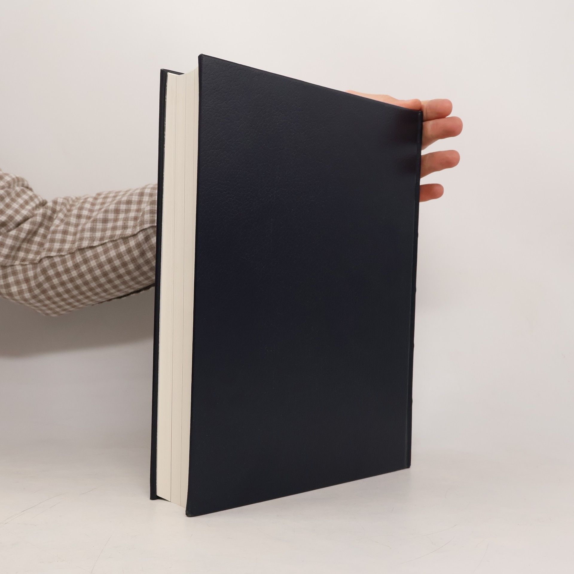 Antonia Meiners Chronik-Bibliothek des 20. Jahrhunderts 22. 1984-1987