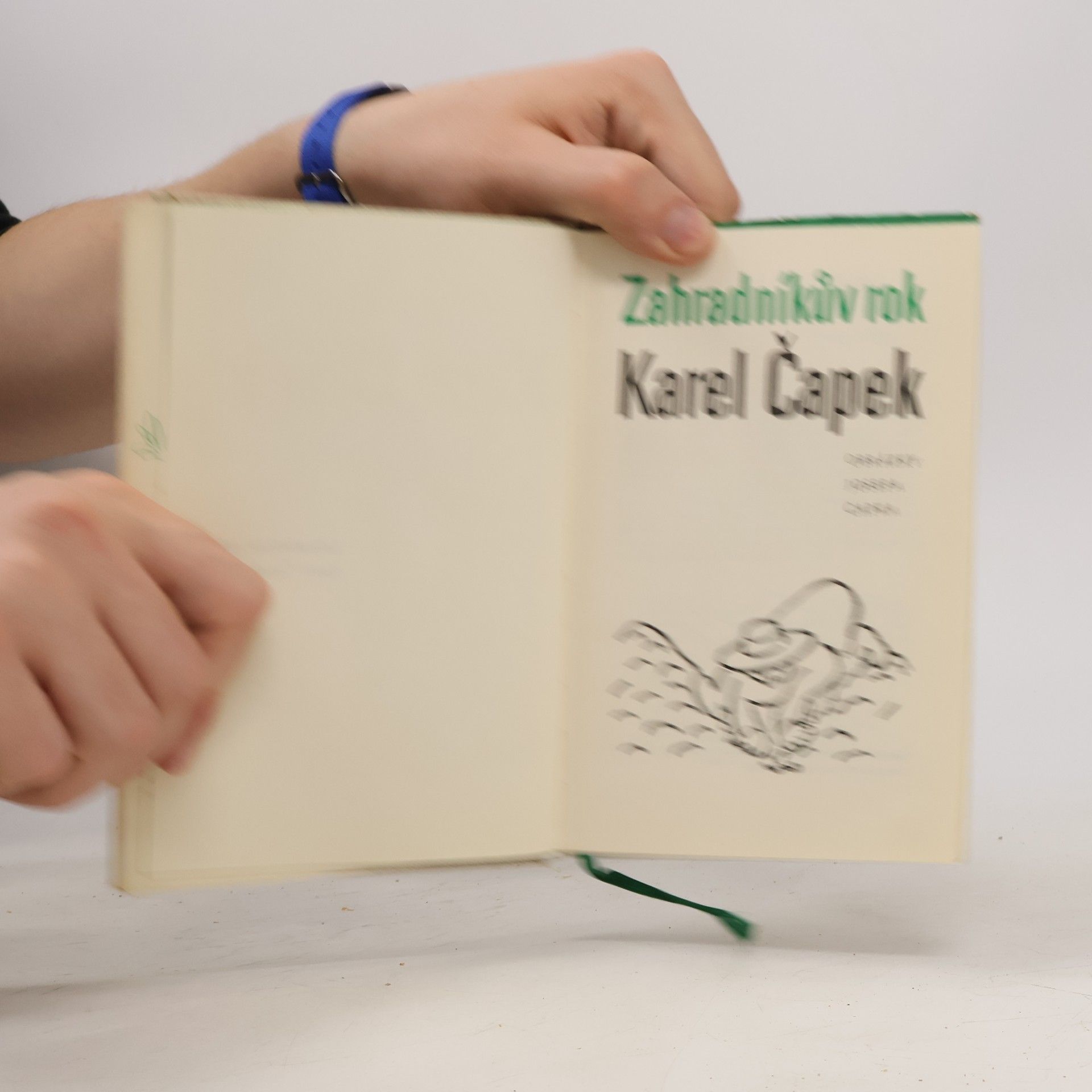 Karel Čapek Zahradníkův rok