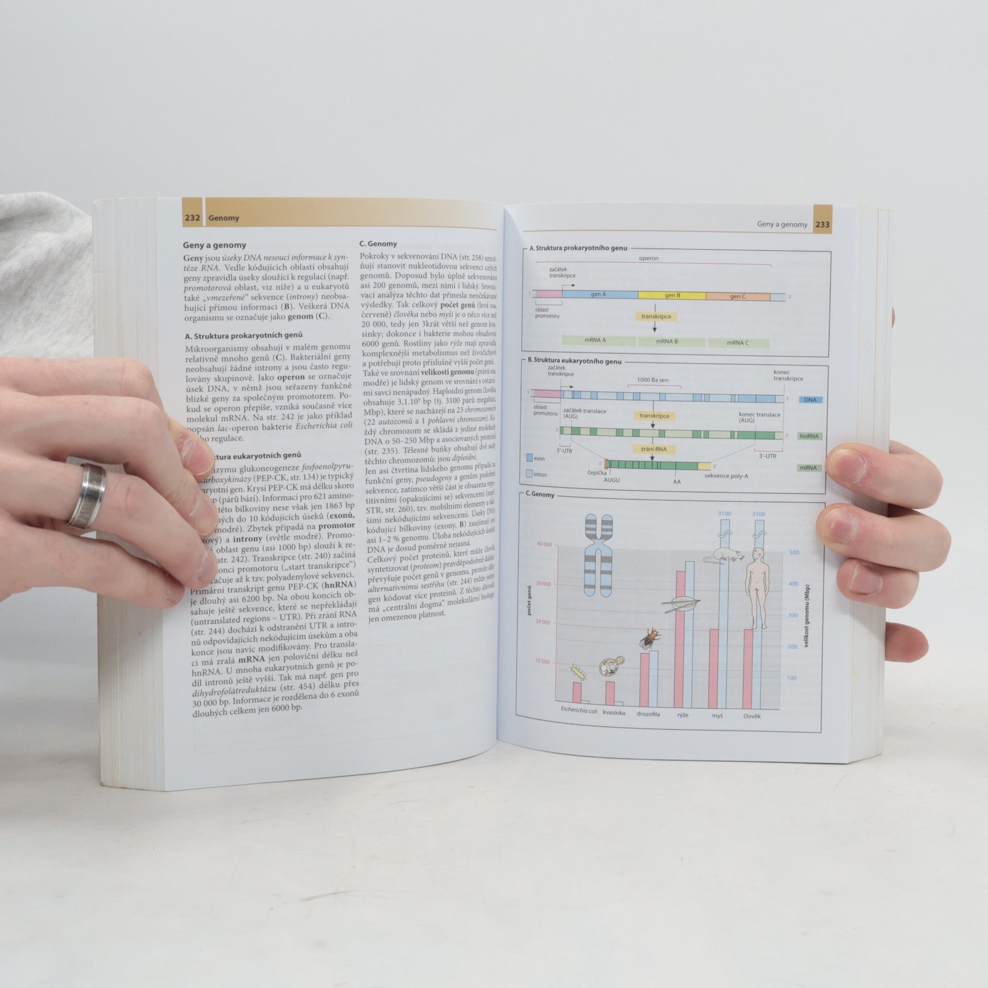 Jan Koolman Barevný atlas biochemie