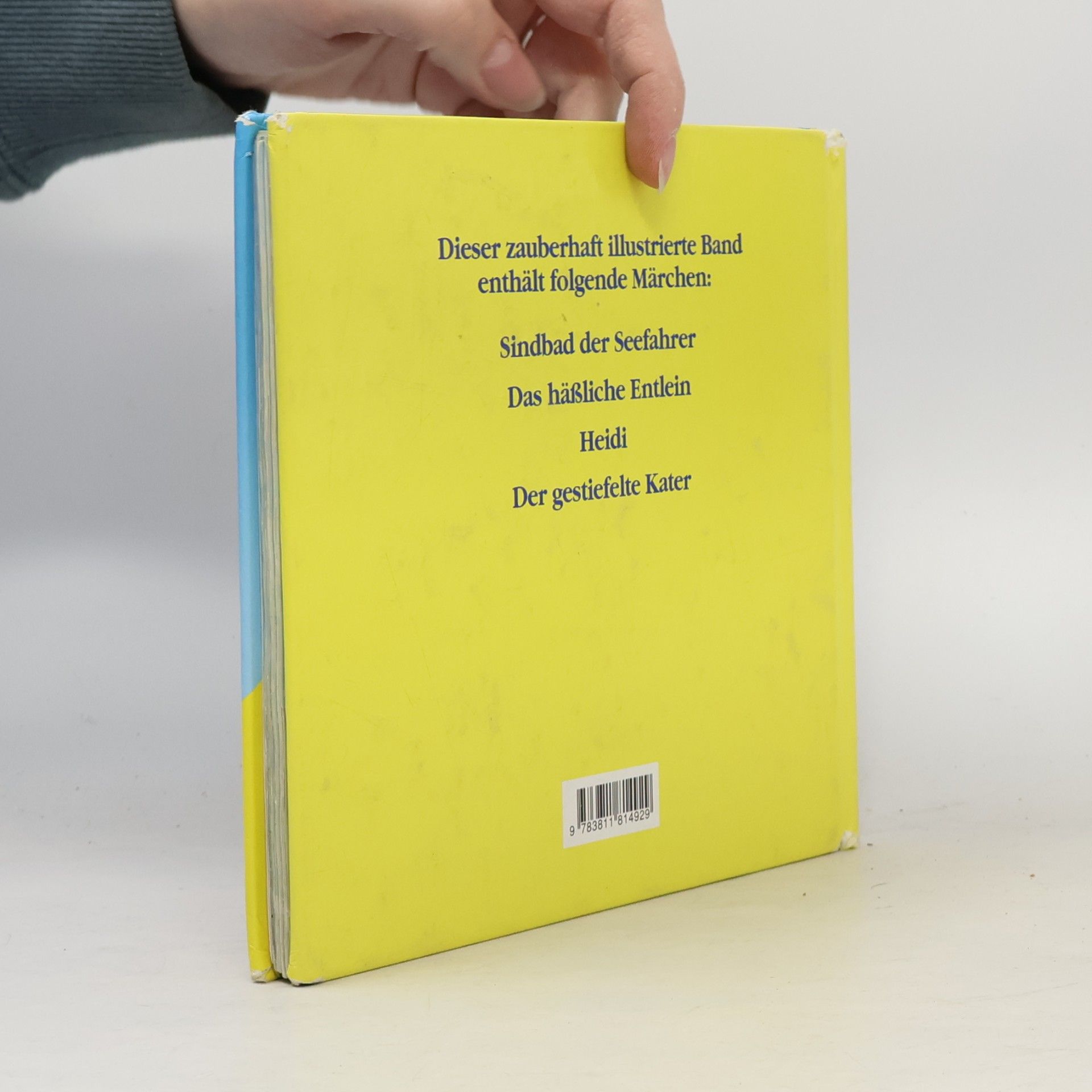 Various authors Der große Märchenschatz 4. Für Kinder ab 3 Jahren