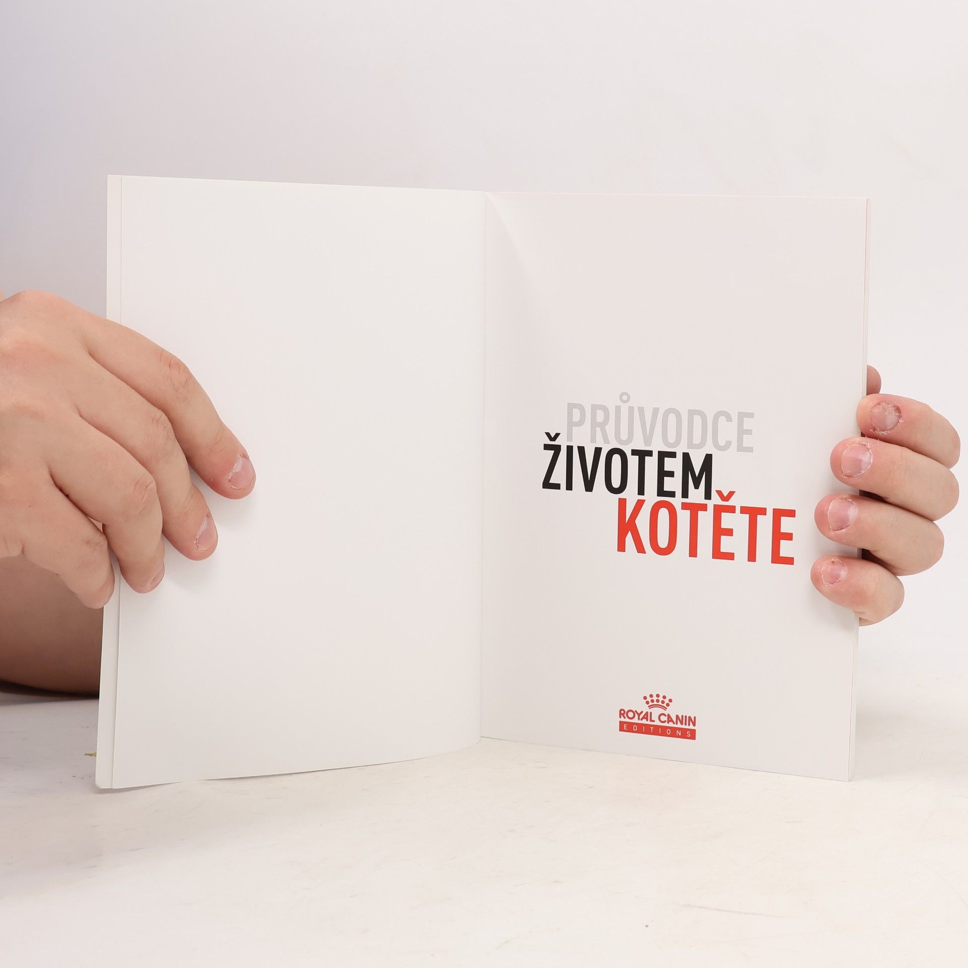 Kolektív autorov Průvodce životem kotěte