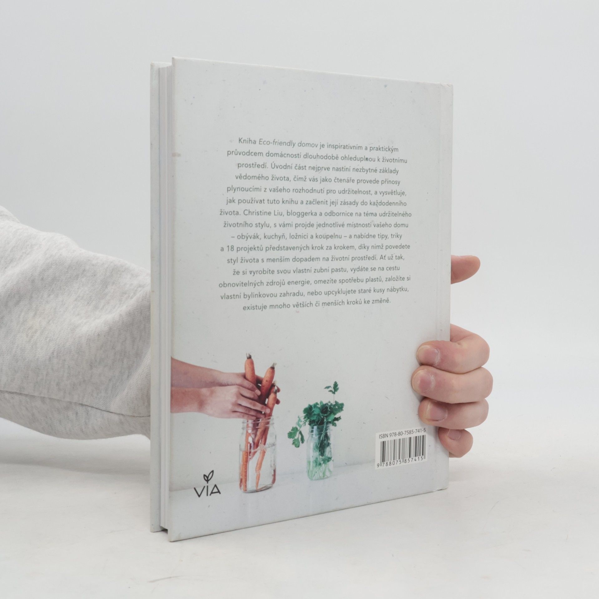 Christine Liu Eco-friendly domov: Praktické projekty, rady a tipy pro ekologicky šetrnější domácnost