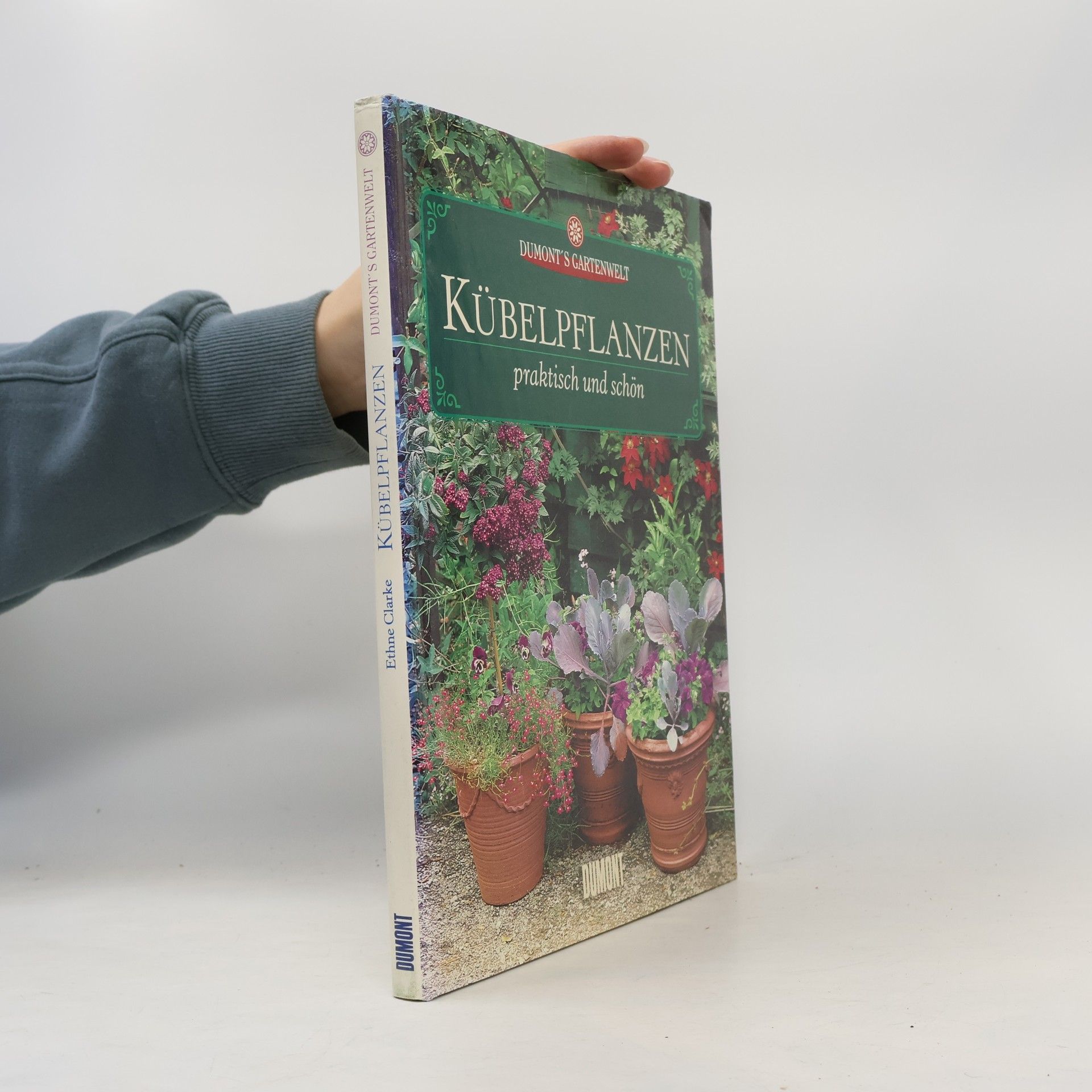 Ethne Clarke Kübelpflanzen praktisch und schön