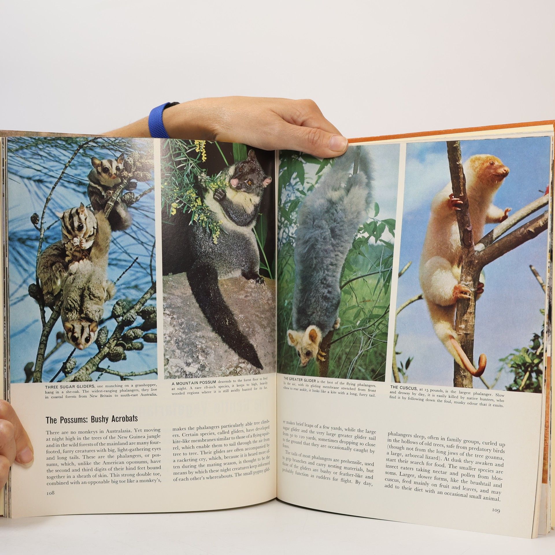 Auteurscollectief The Land and Wildlife of Australasia