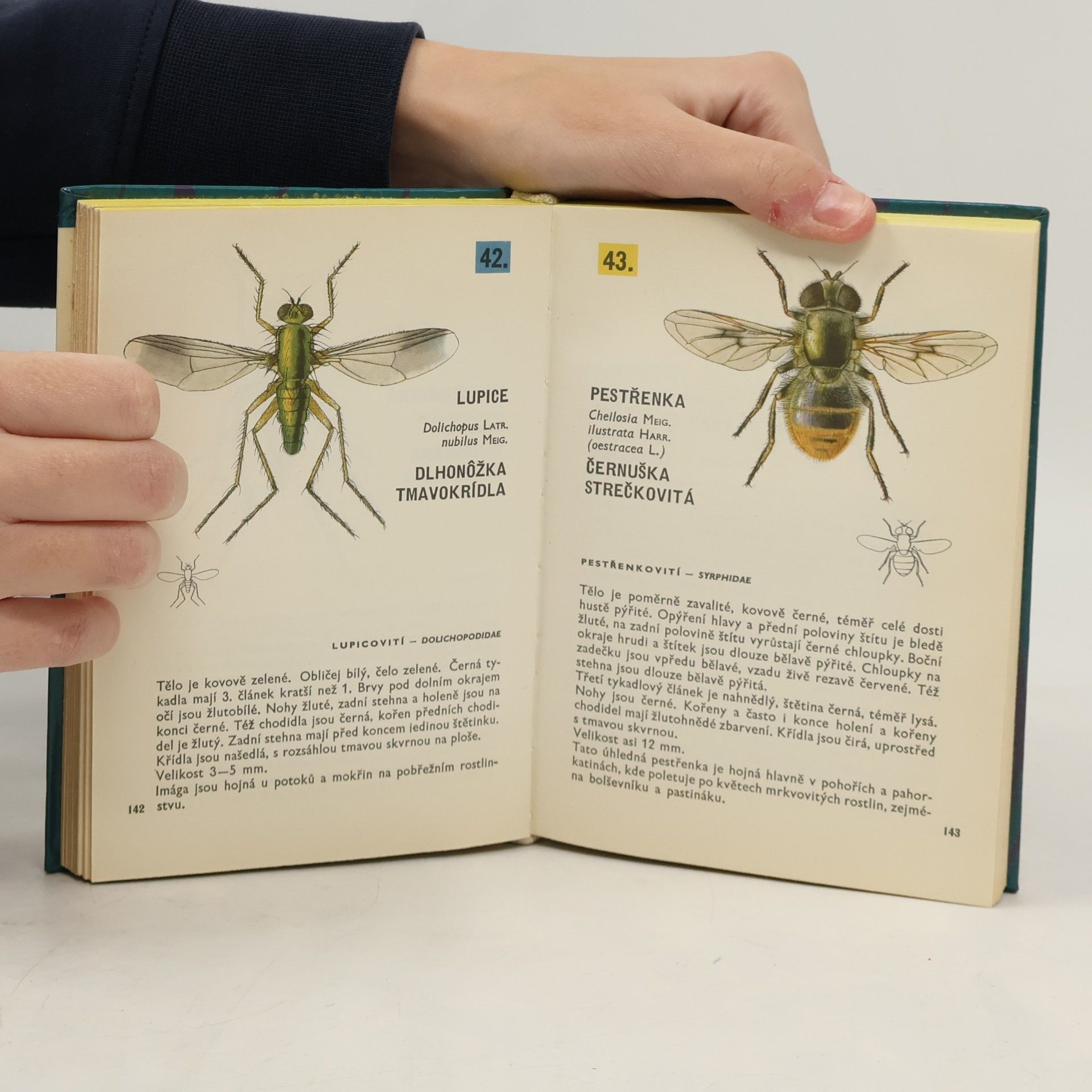 Vladimír Javorek Kapesní atlas dvoukřídlého hmyzu