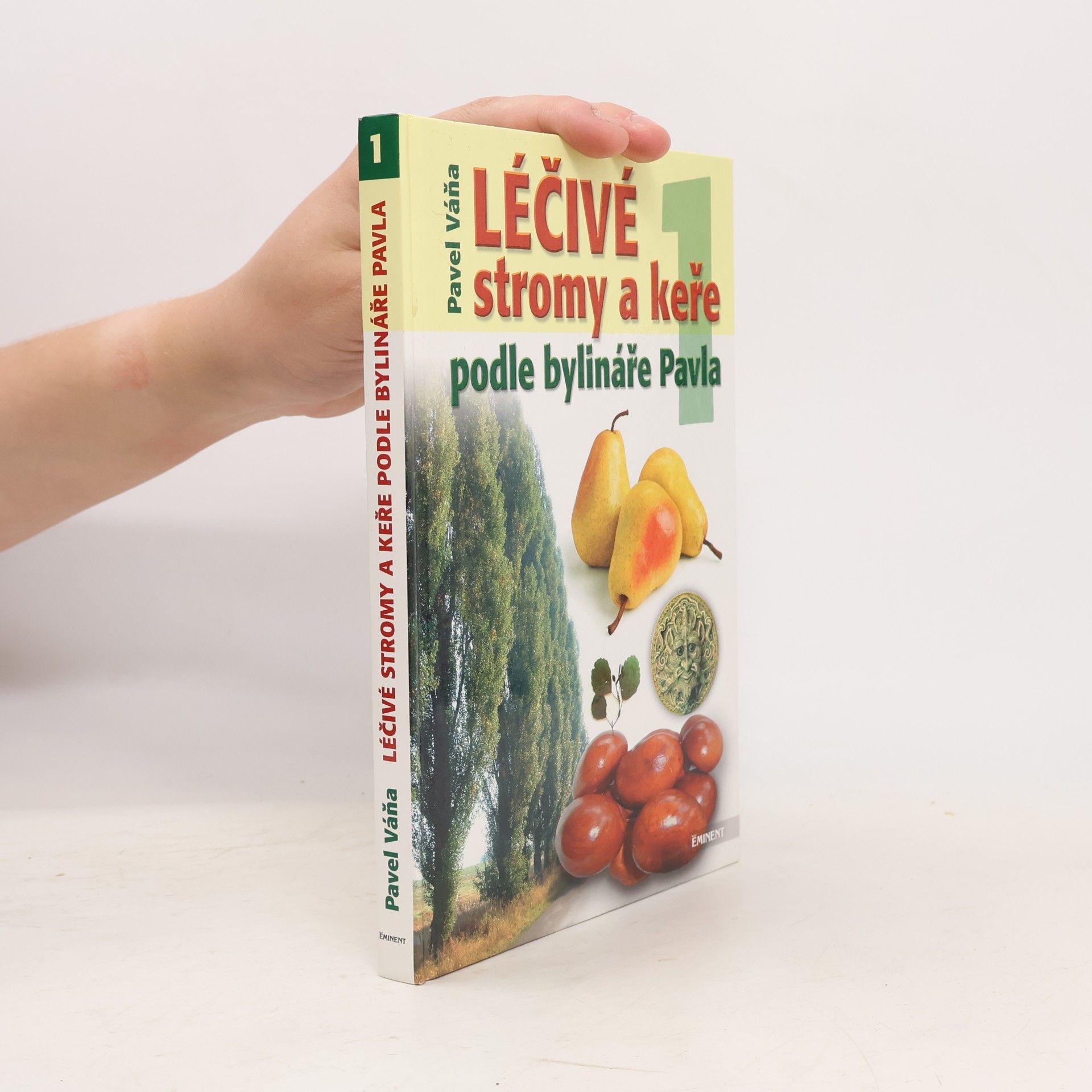 Léčivé stromy a keře podle bylináře Pavla 1