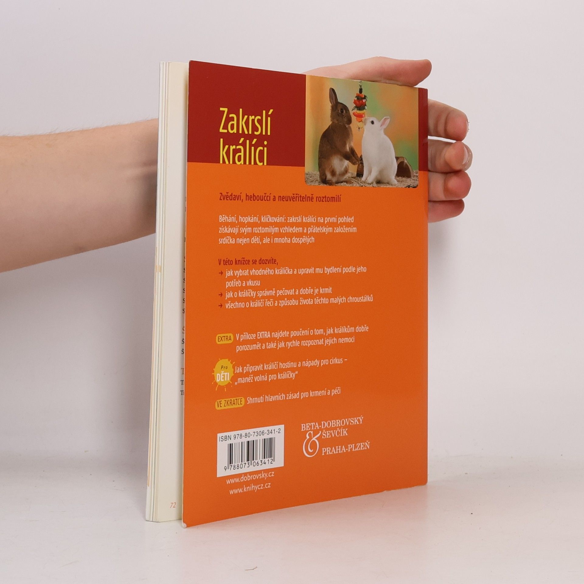 Angela Beck Zakrslí králíci: Chov & péče, porozumění & zabavení