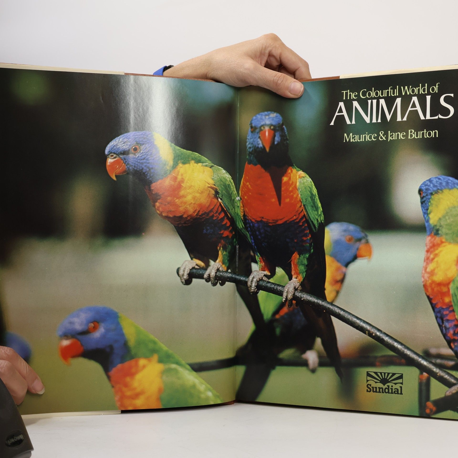 Maurice Burton The Colourful World of Animals