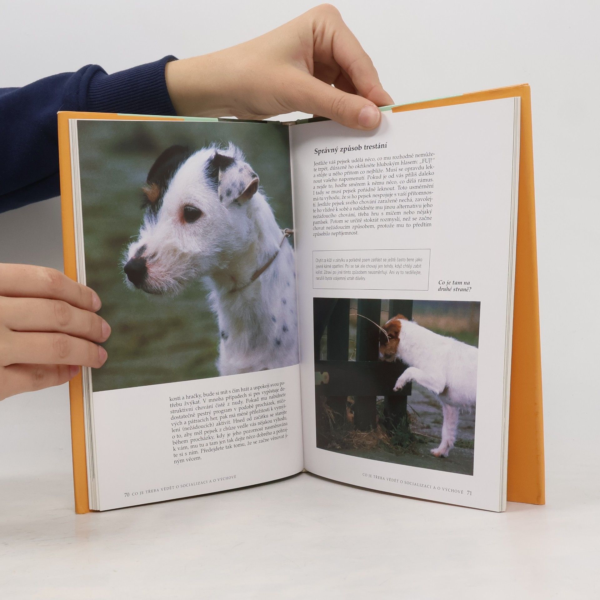Esther Verhoef Jack Russell teriér