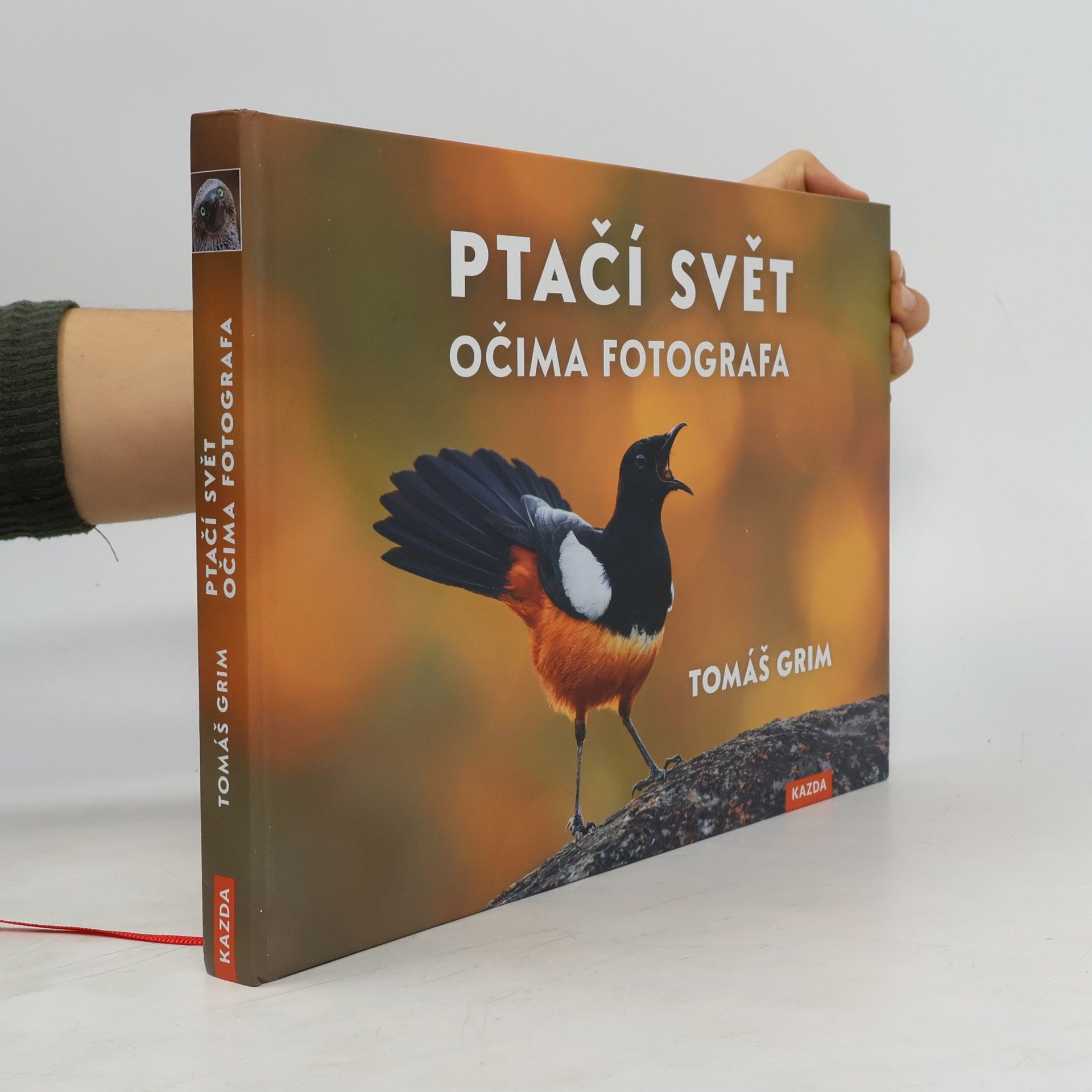 Tomáš Grim Ptačí svět očima fotografa