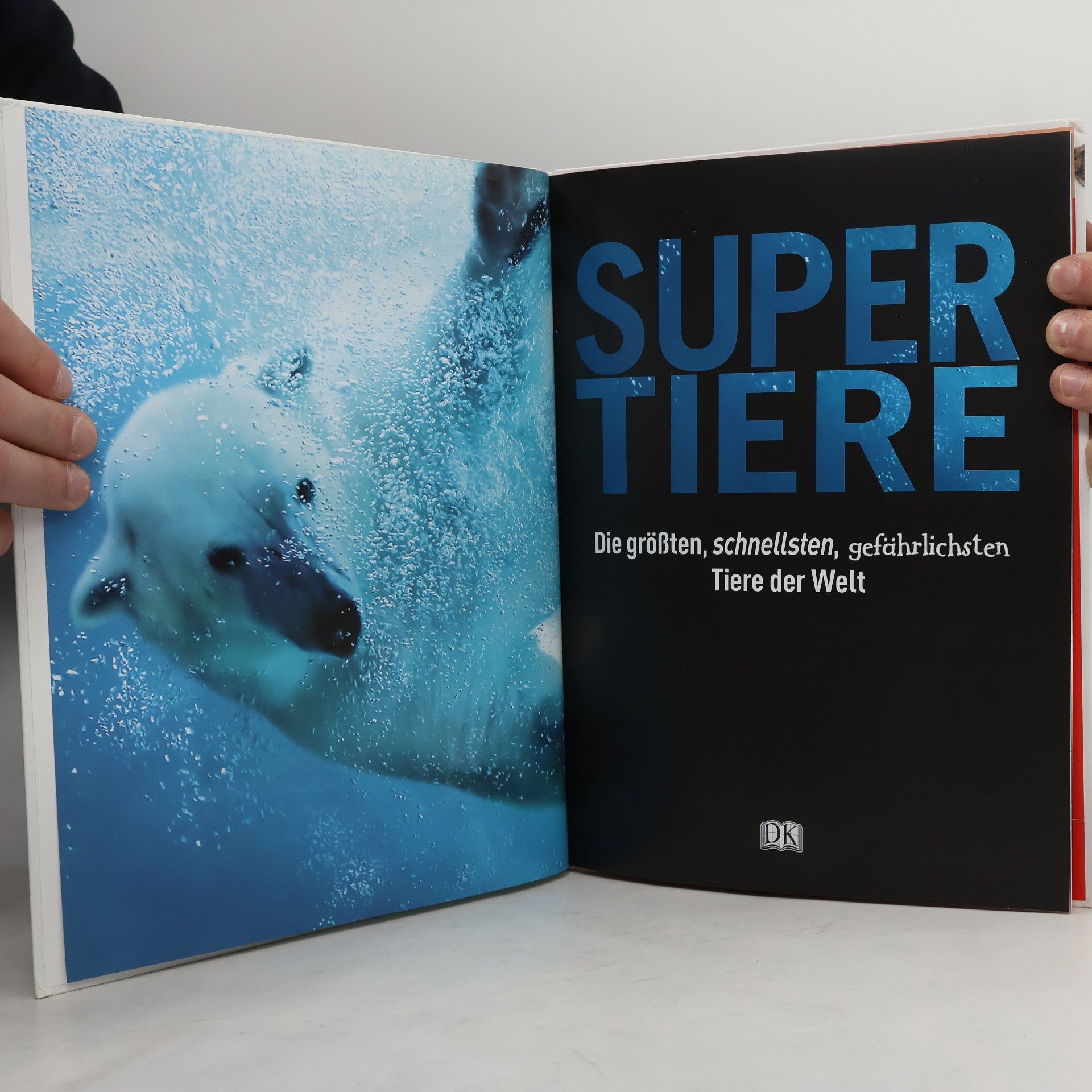 kolektiv Super-Tiere