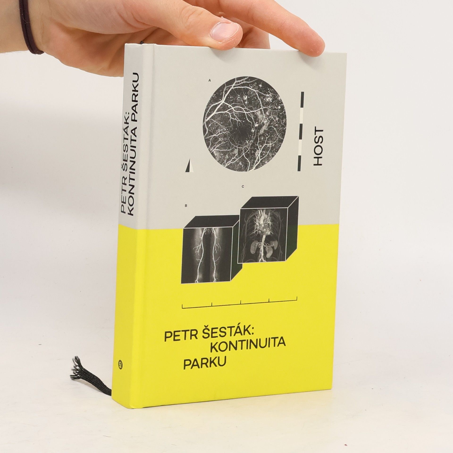 Petr Šesták Kontinuita parku