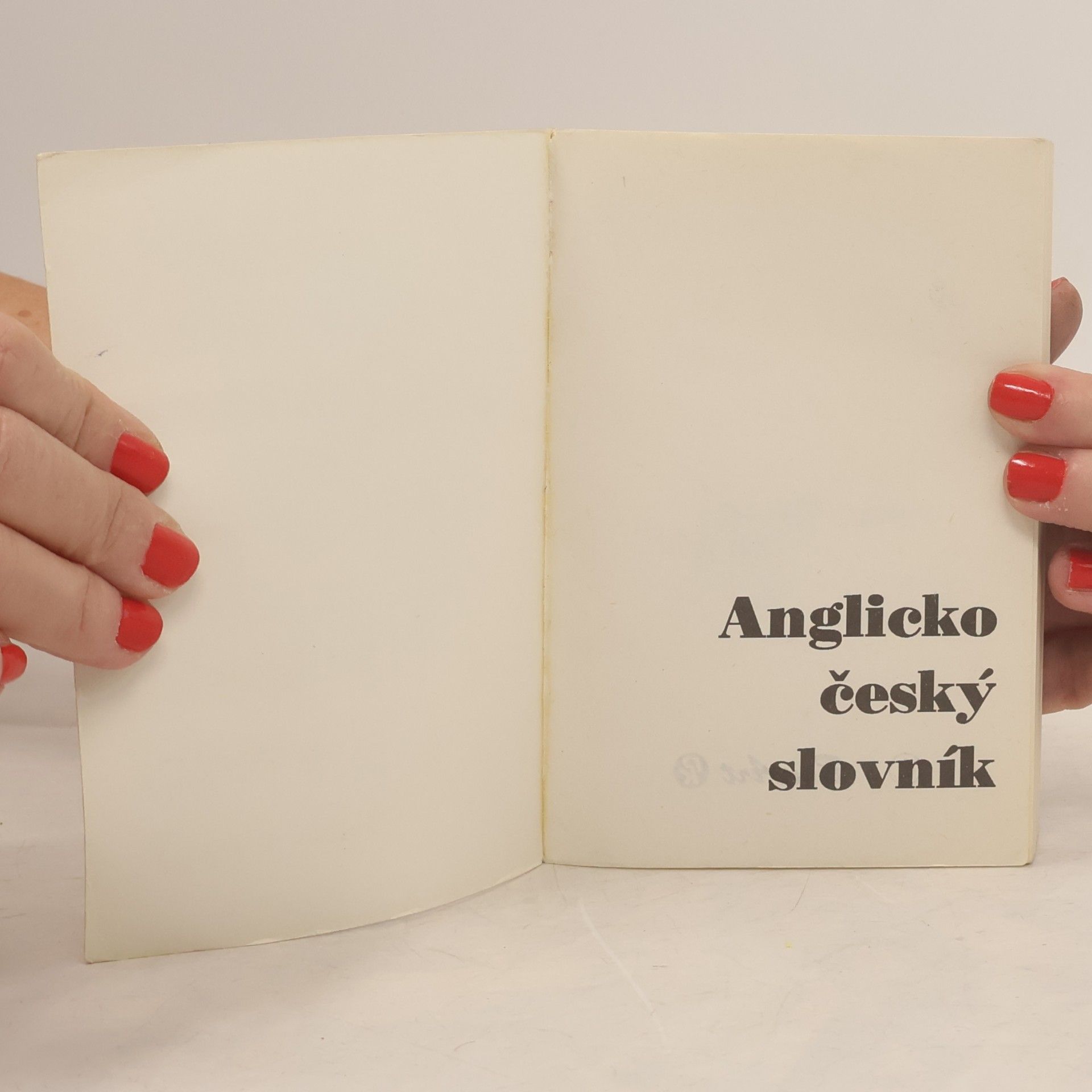 kolektiv Anglicko český slovník