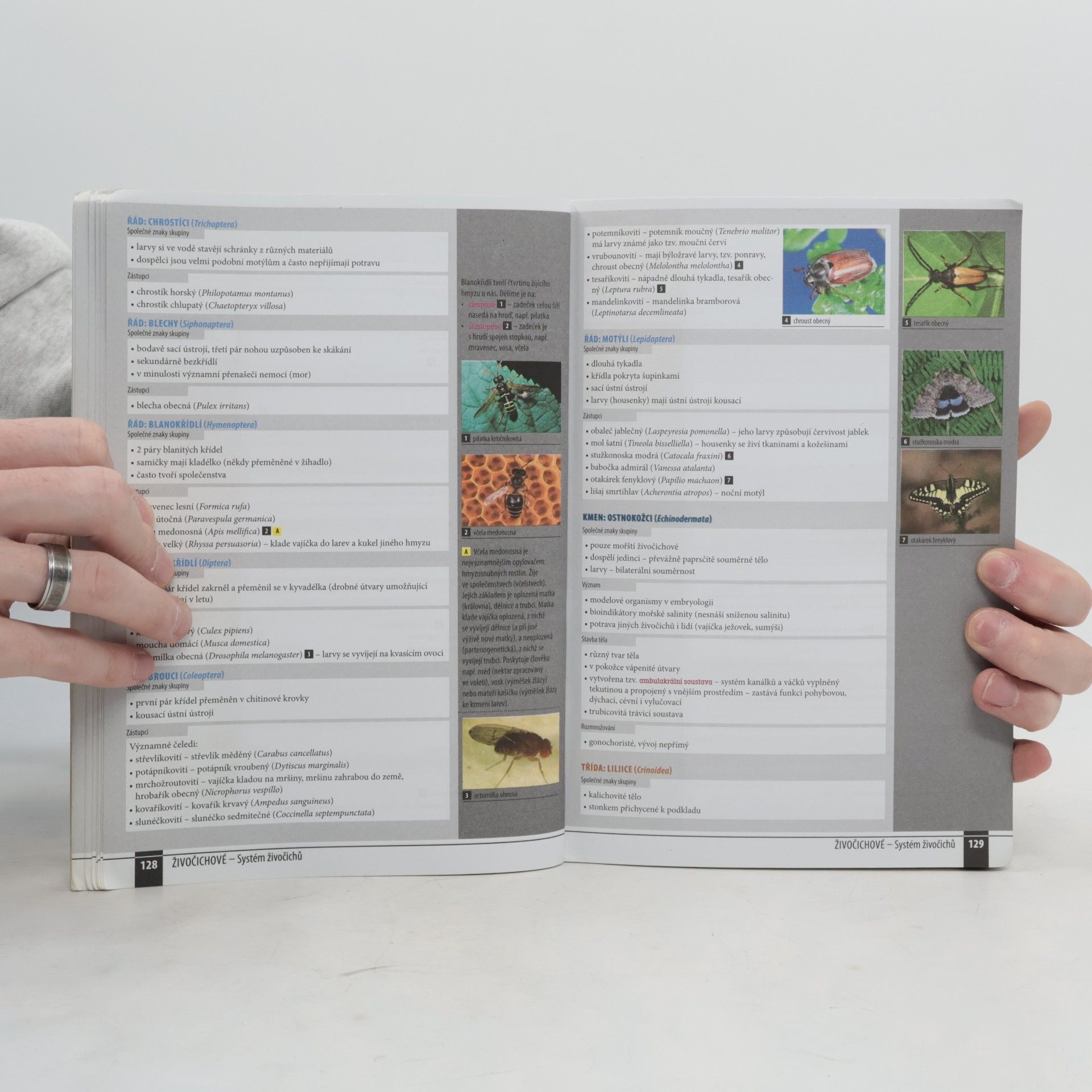 Autores varios Odmaturuj! z biologie