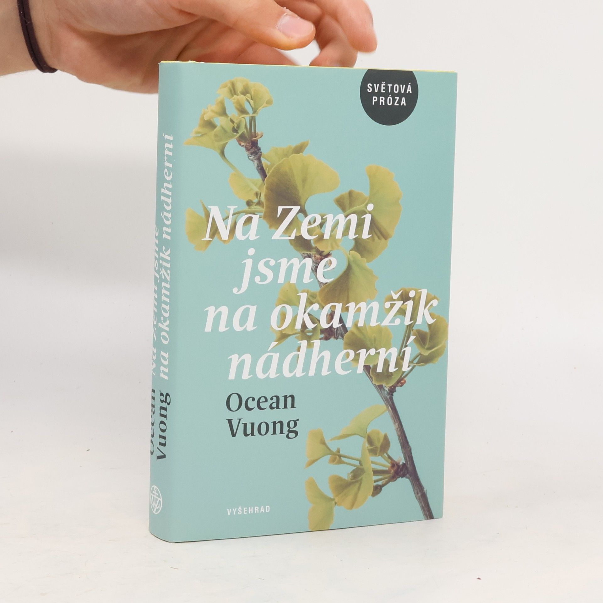 Na Zemi jsme na okamžik nádherní