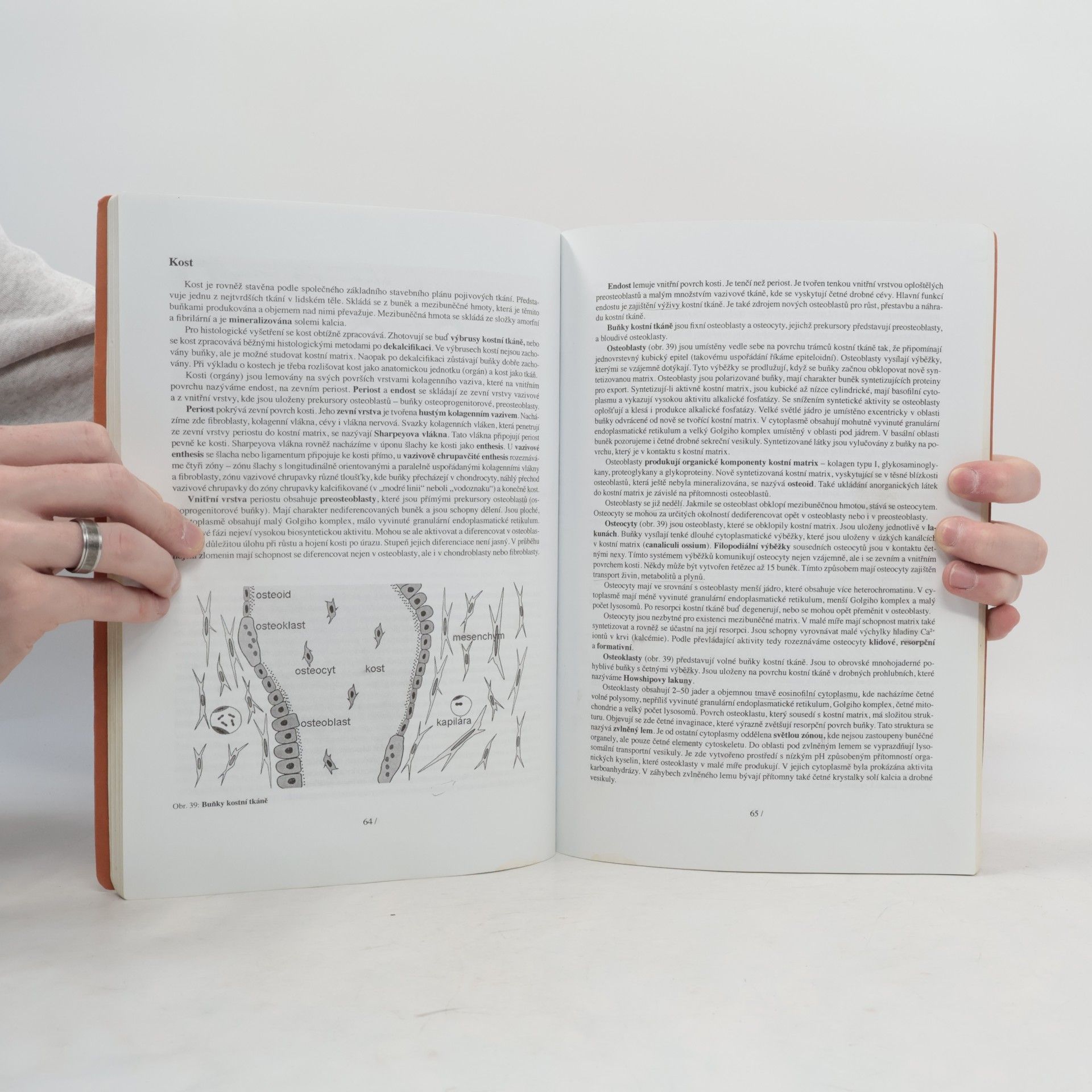Václava Konrádová Lékařská histologie I.