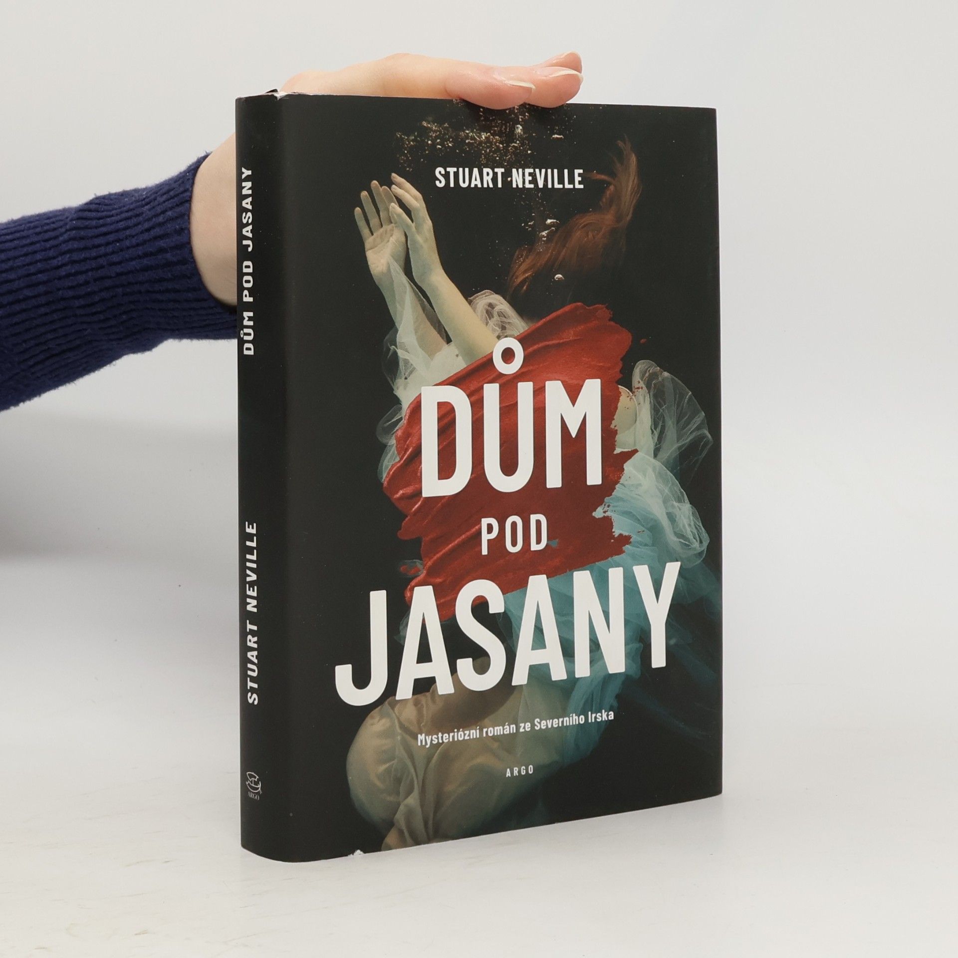 Stuart Neville Dům pod jasany