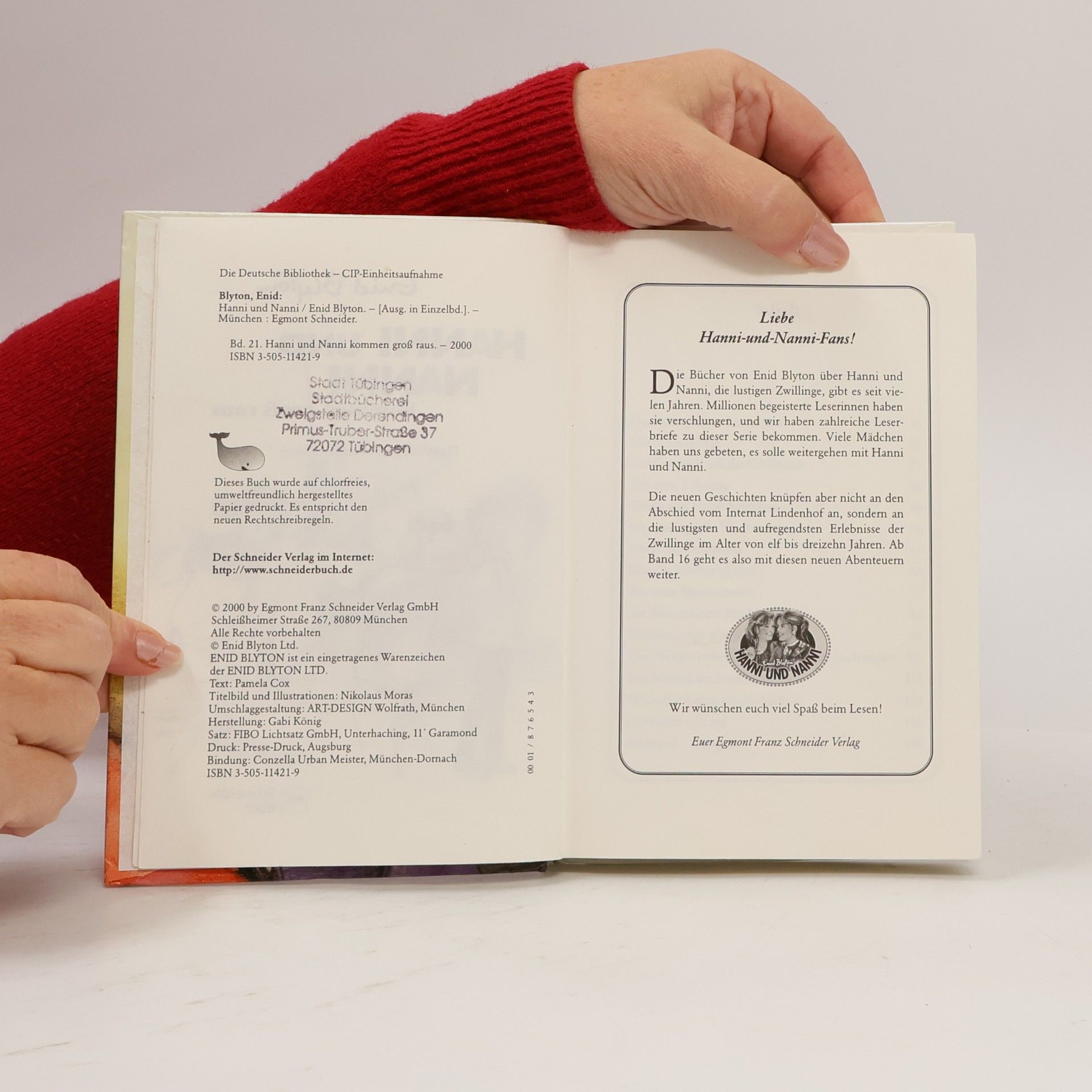 Enid Blyton Hanni und Nanni kommen groß raus
