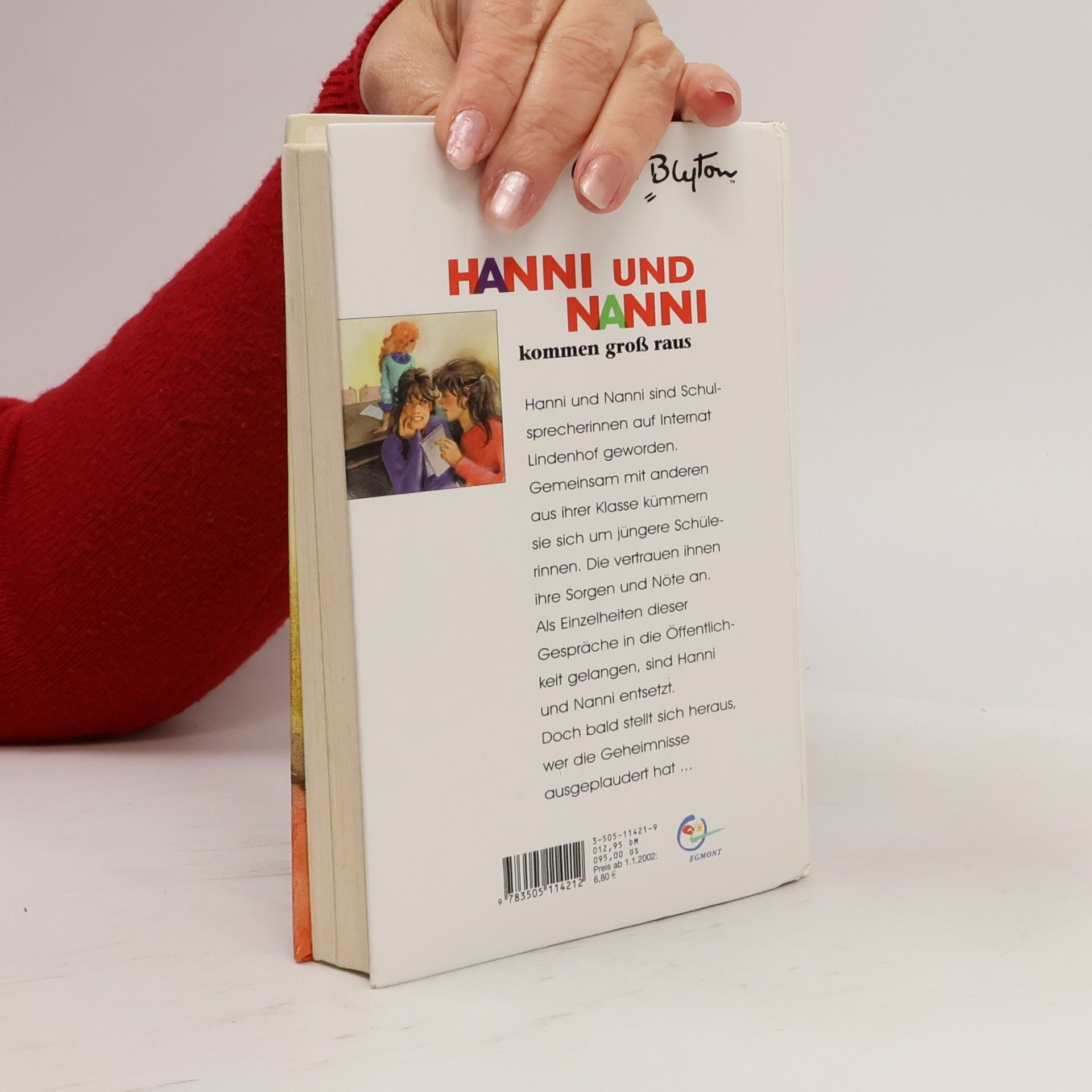 Enid Blyton Hanni und Nanni kommen groß raus