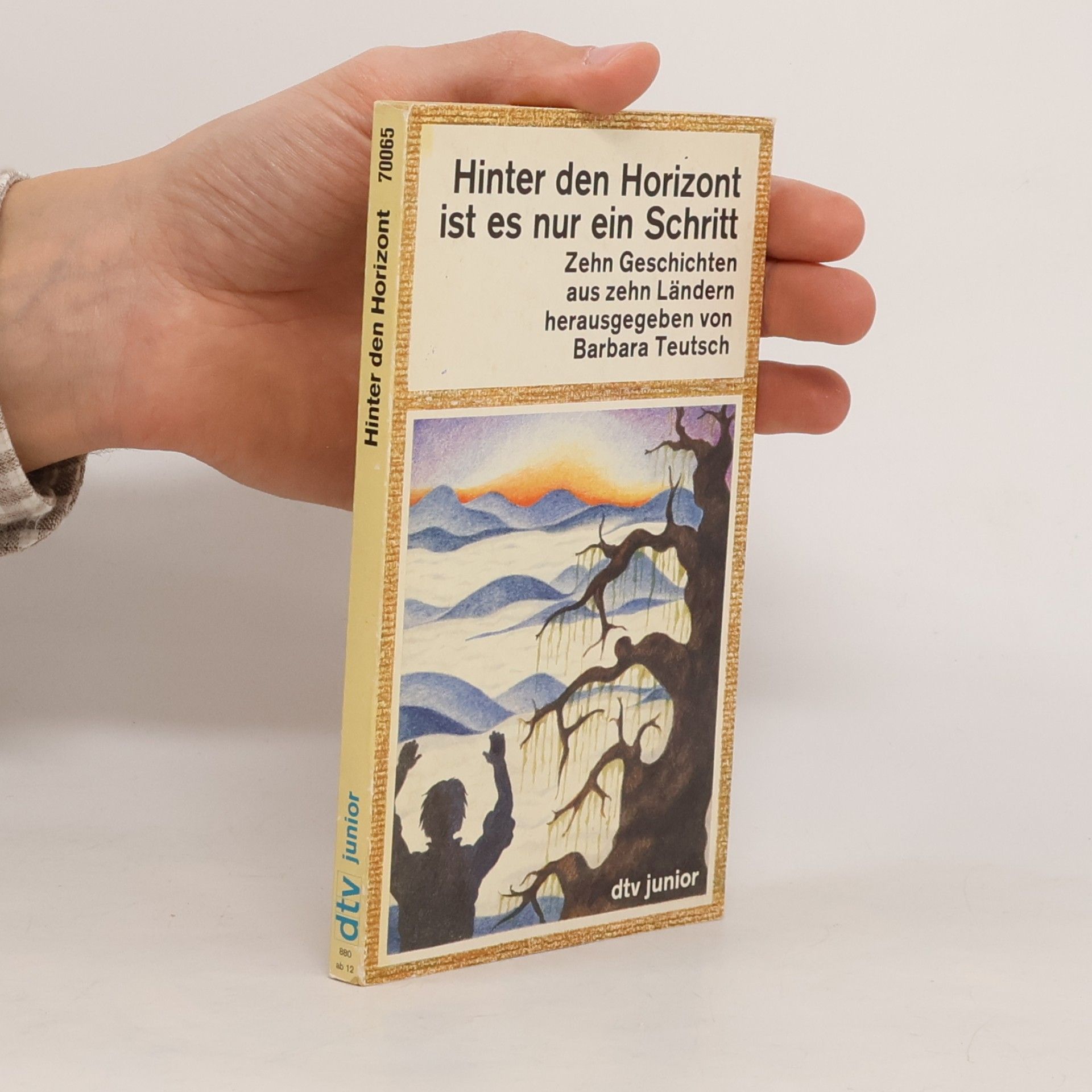 dtv junior: Hinter den Horizont ist es nur ein Schritt. Zehn Geschichten aus zehn Ländern