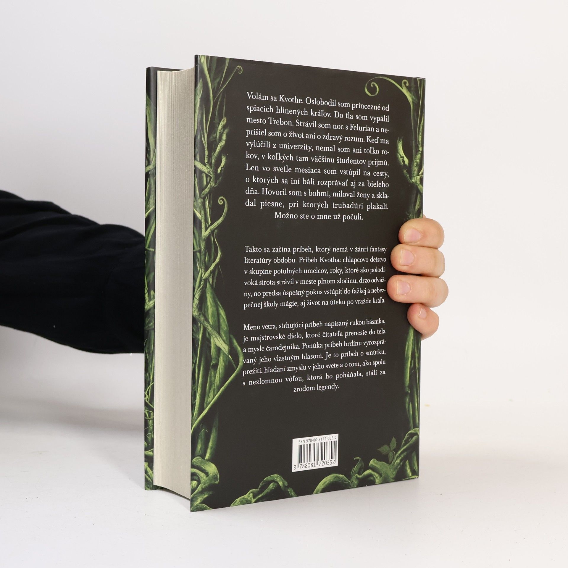 Patrick Rothfuss Meno vetra