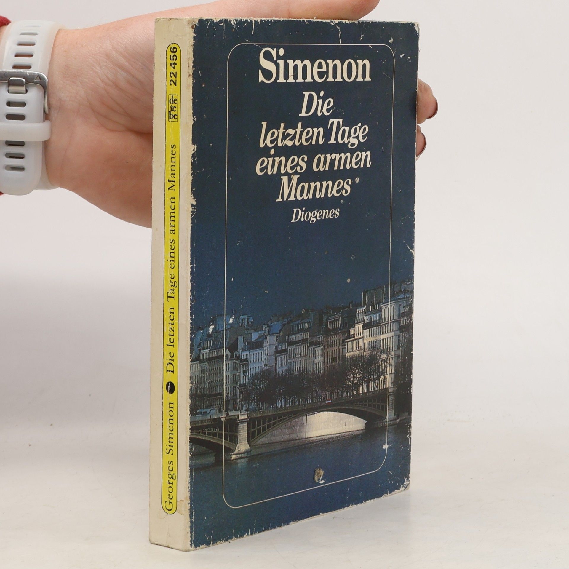 Georges Simenon Die letzten Tage eines armen Mannes. Roman
