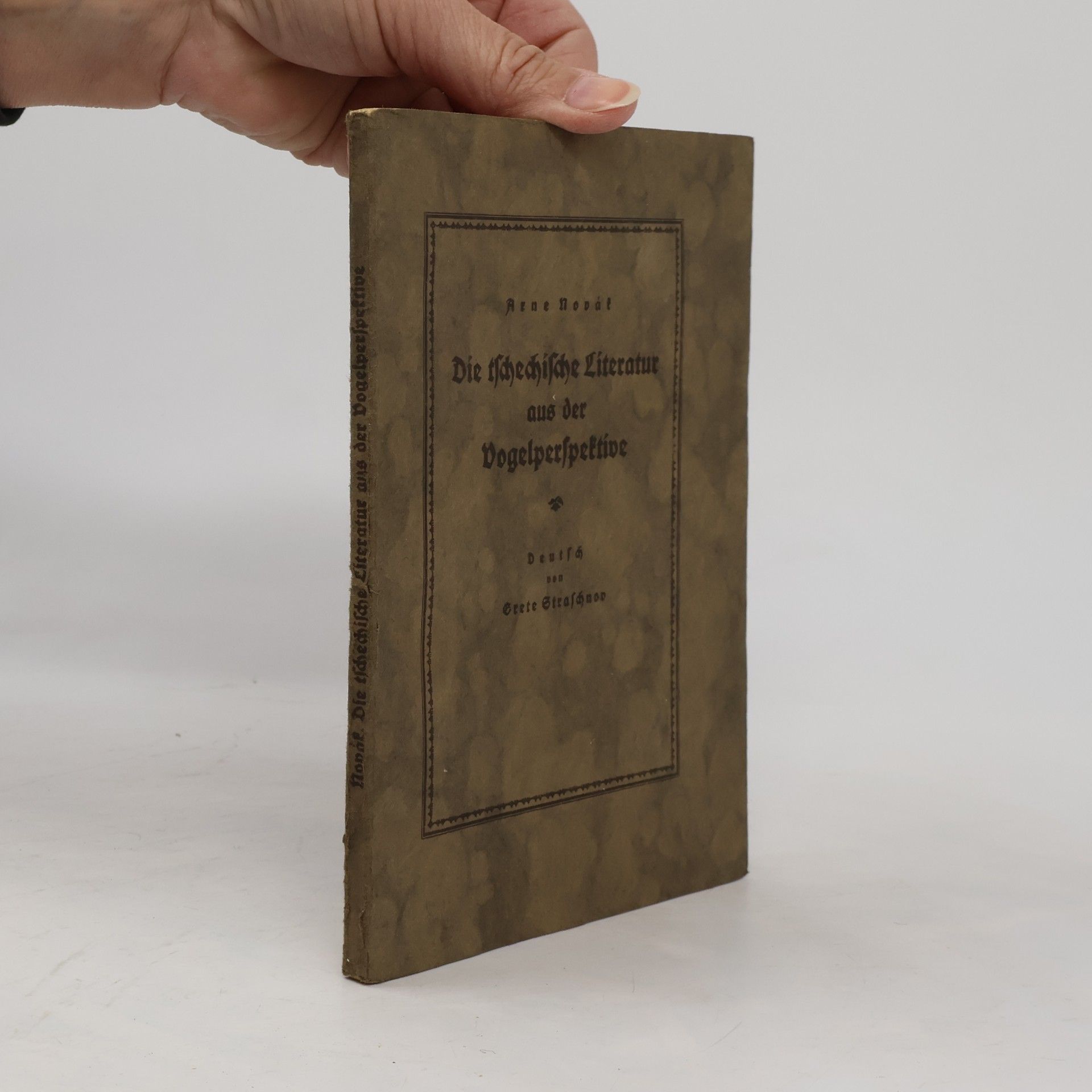 Die tschechische Literatur aus der Vogelperspektive