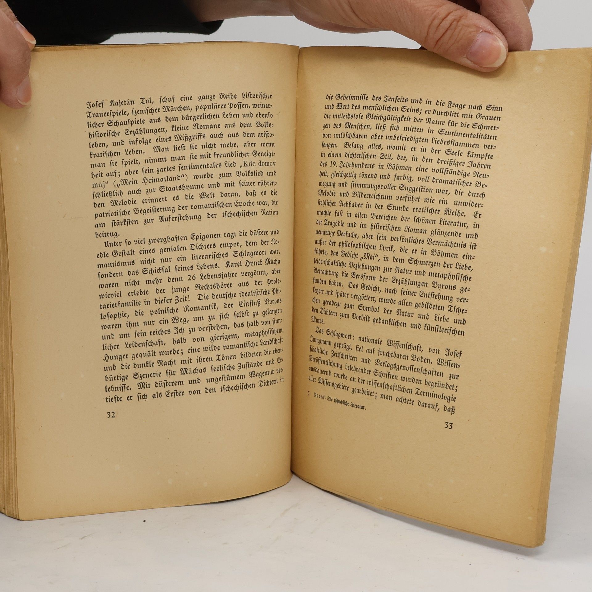 Arne Novák Die tschechische Literatur aus der Vogelperspektive