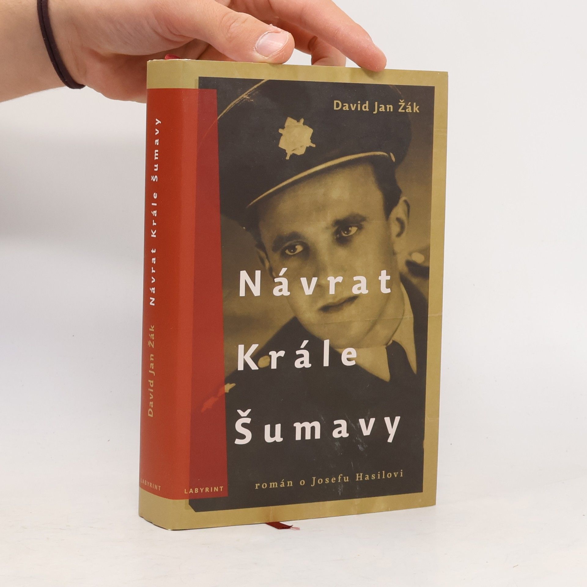 David Jan Žák Návrat Krále Šumavy