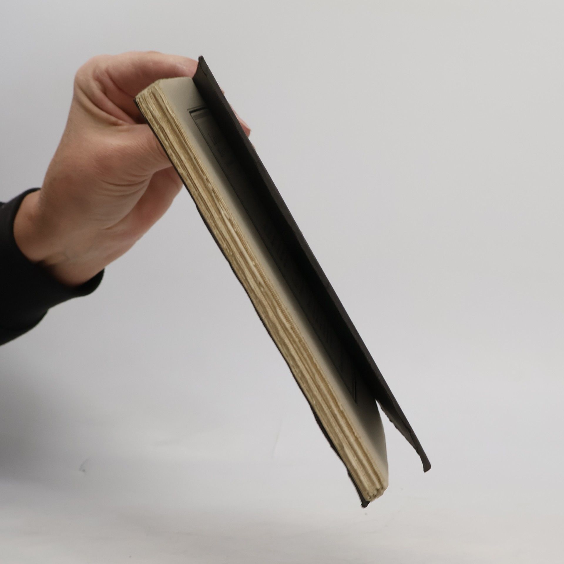 Lafcadio Hearn Das Claudel - Programmbuch