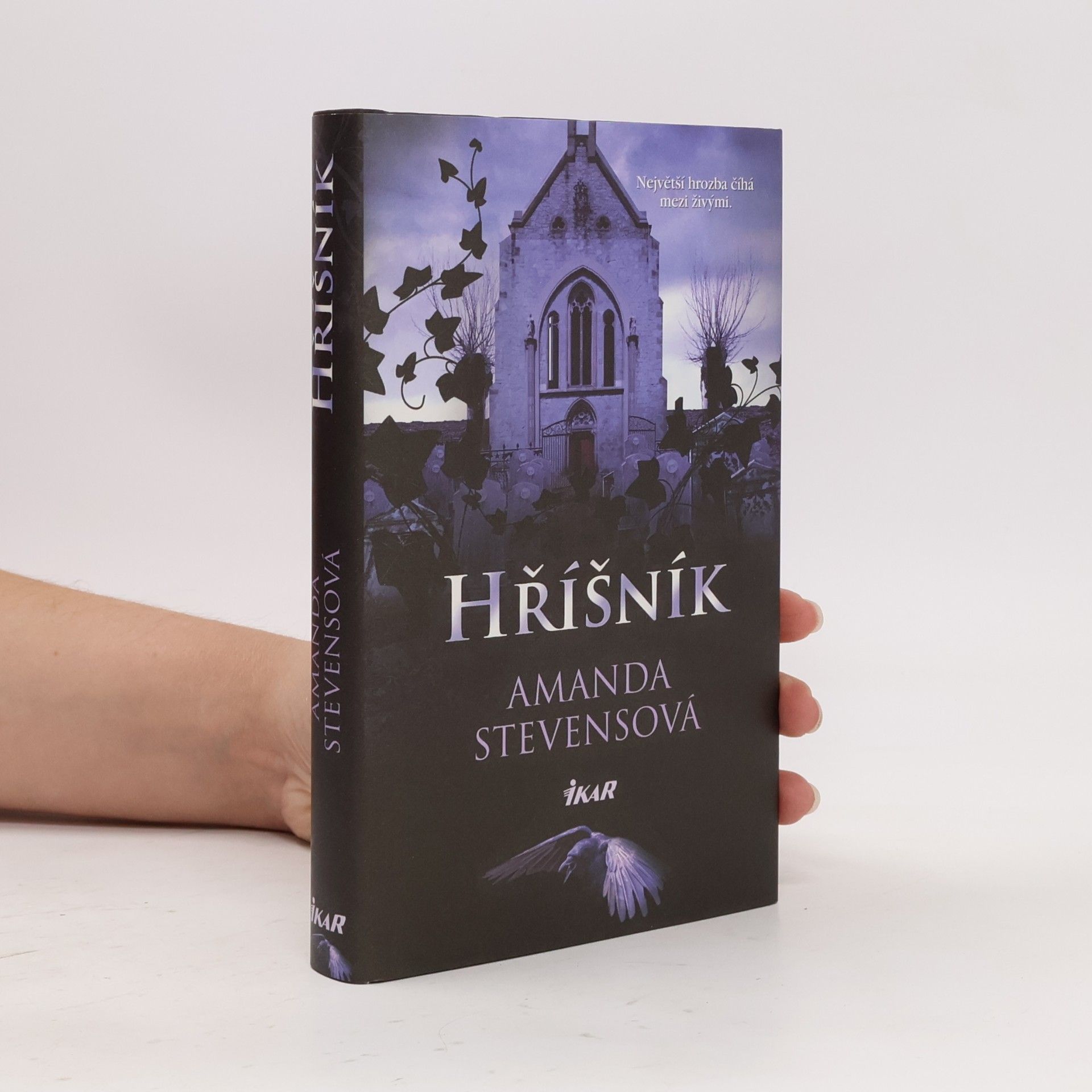 Amanda Stevens Hříšník