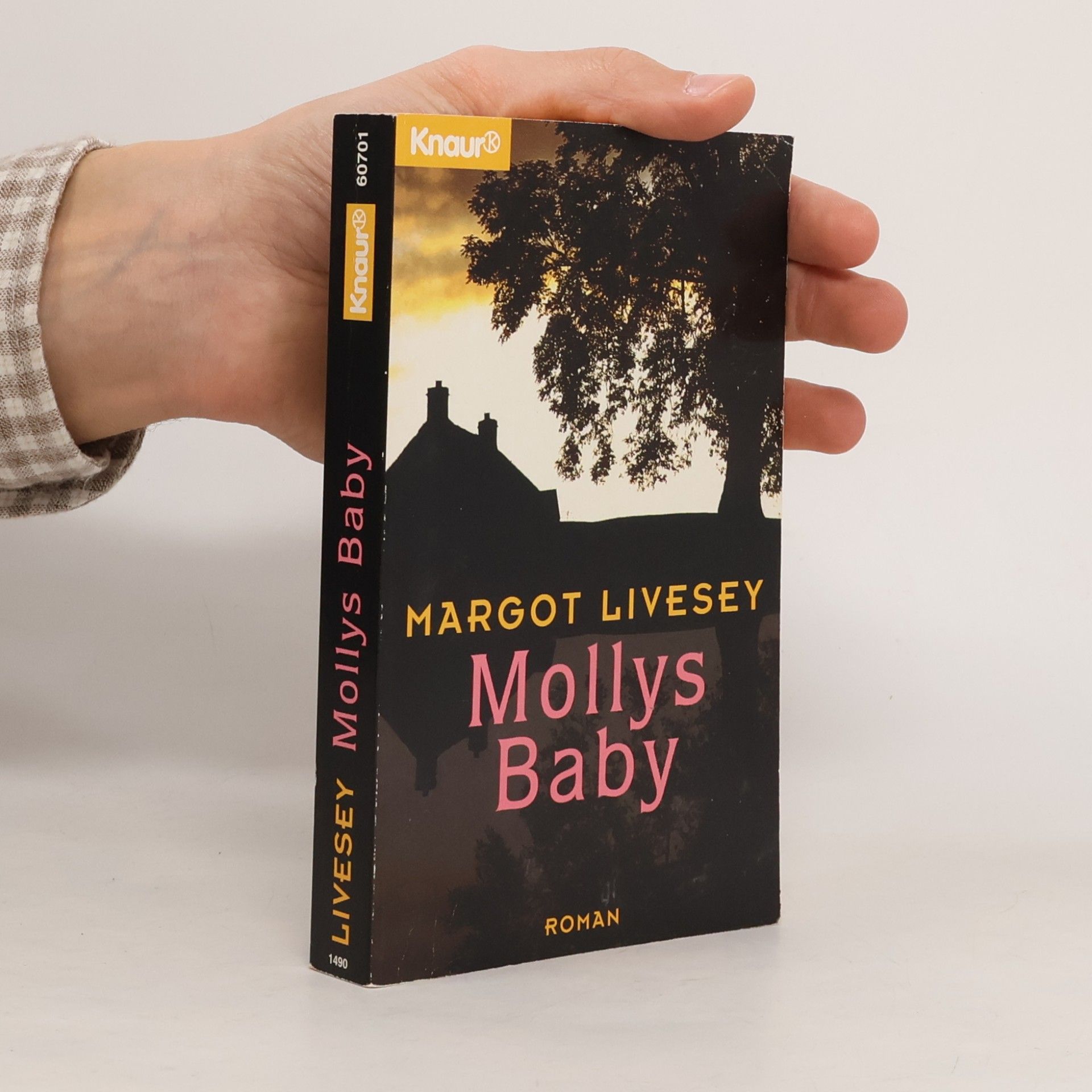 Margot Livesey Mollys Baby
