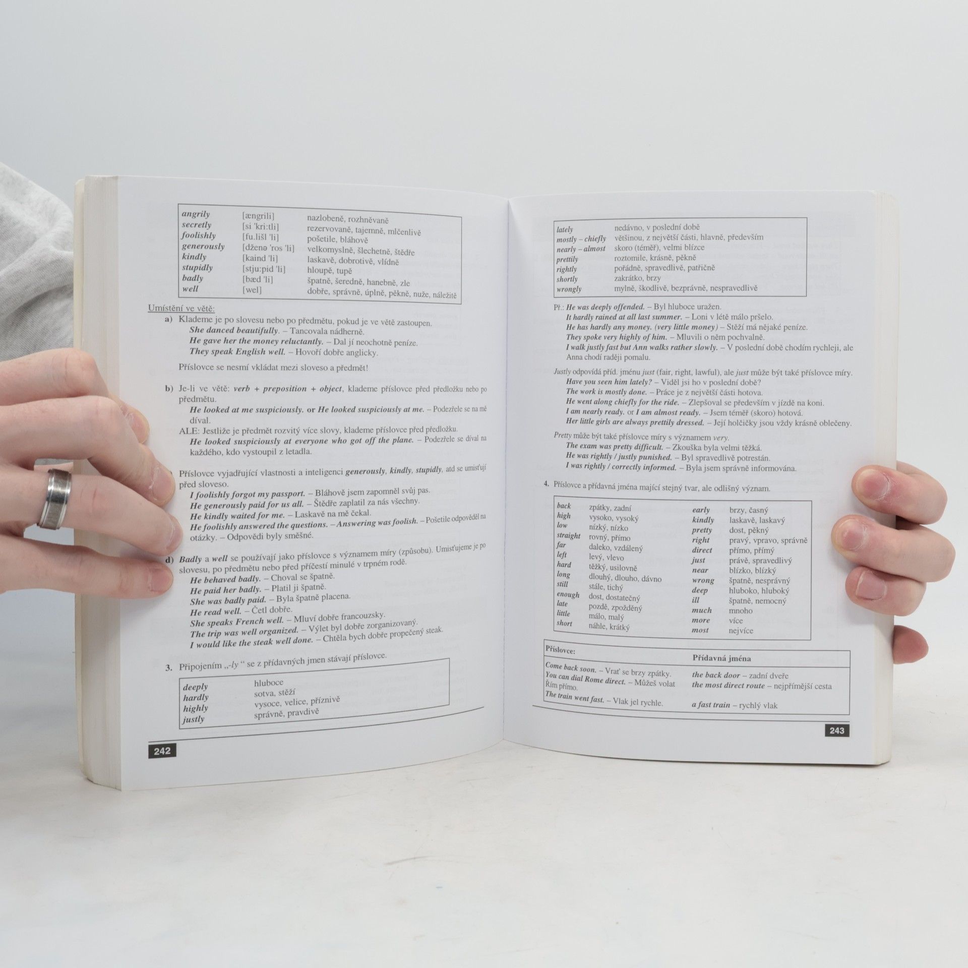 Helena Hnük von Wicher English Grammar - Anglická gramatika: Podrobná učebnice anglické gramatiky